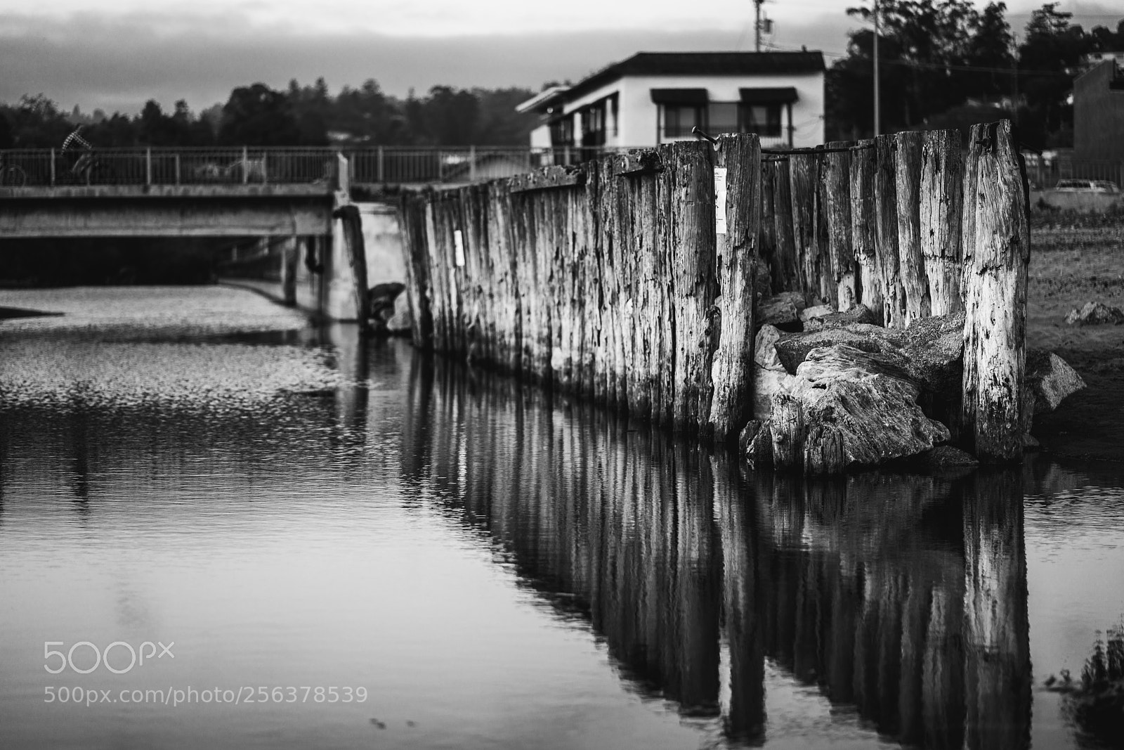 Sony a7R II sample photo. Untitled photography