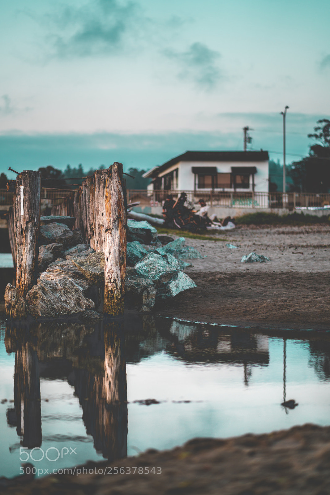 Sony a7R II sample photo. Untitled photography