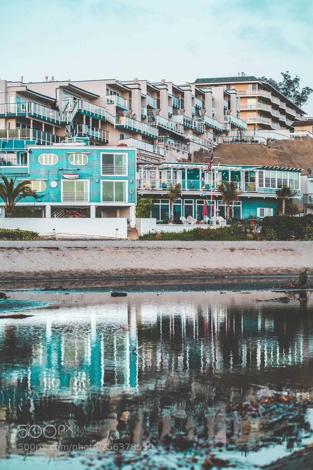 Sony a7R II sample photo. Untitled photography