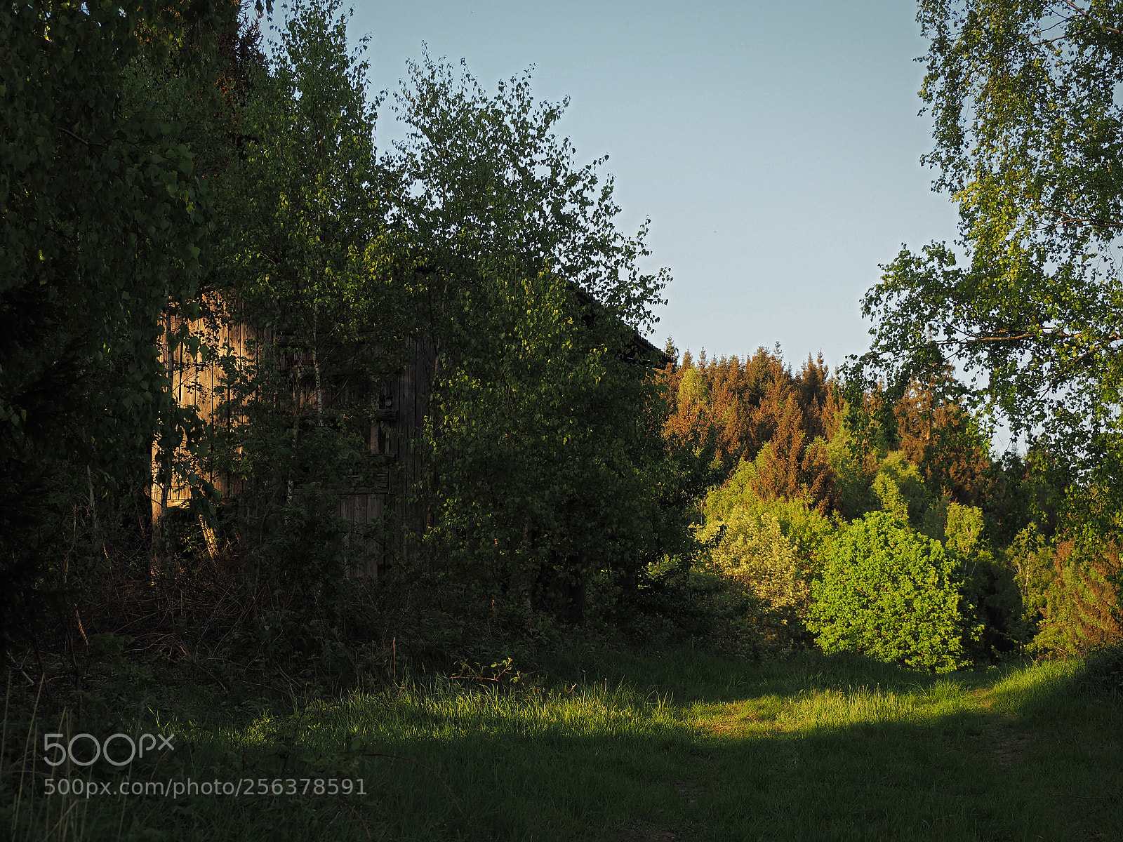 Olympus OM-D E-M10 sample photo. Hidden hut photography