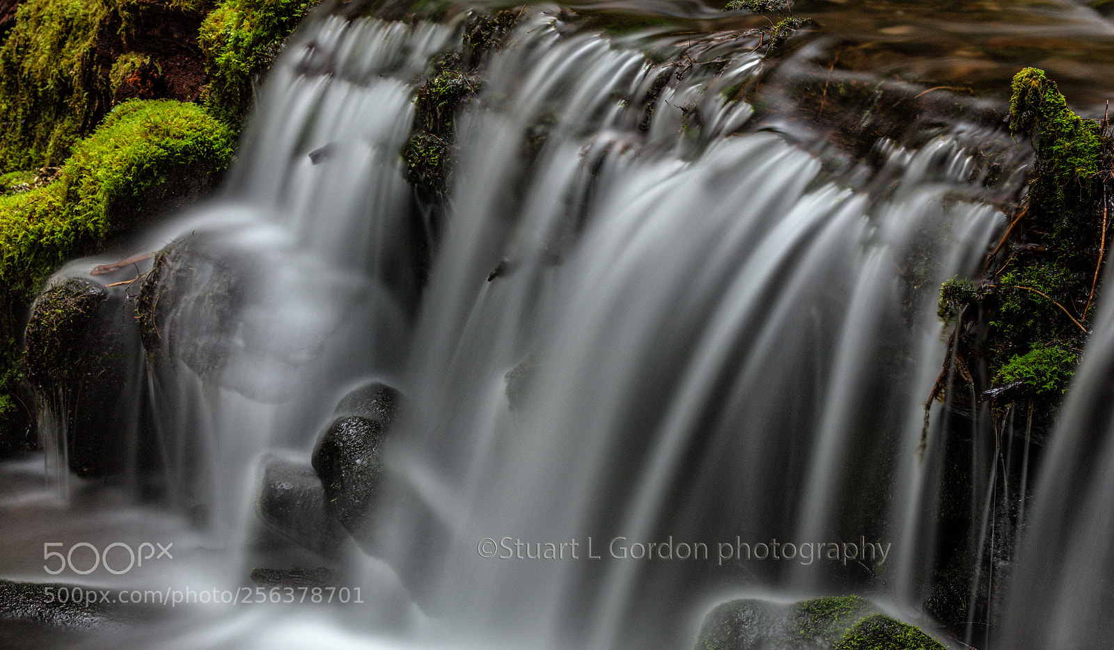 Canon EOS 5DS R sample photo. Small cataract, sol duc photography