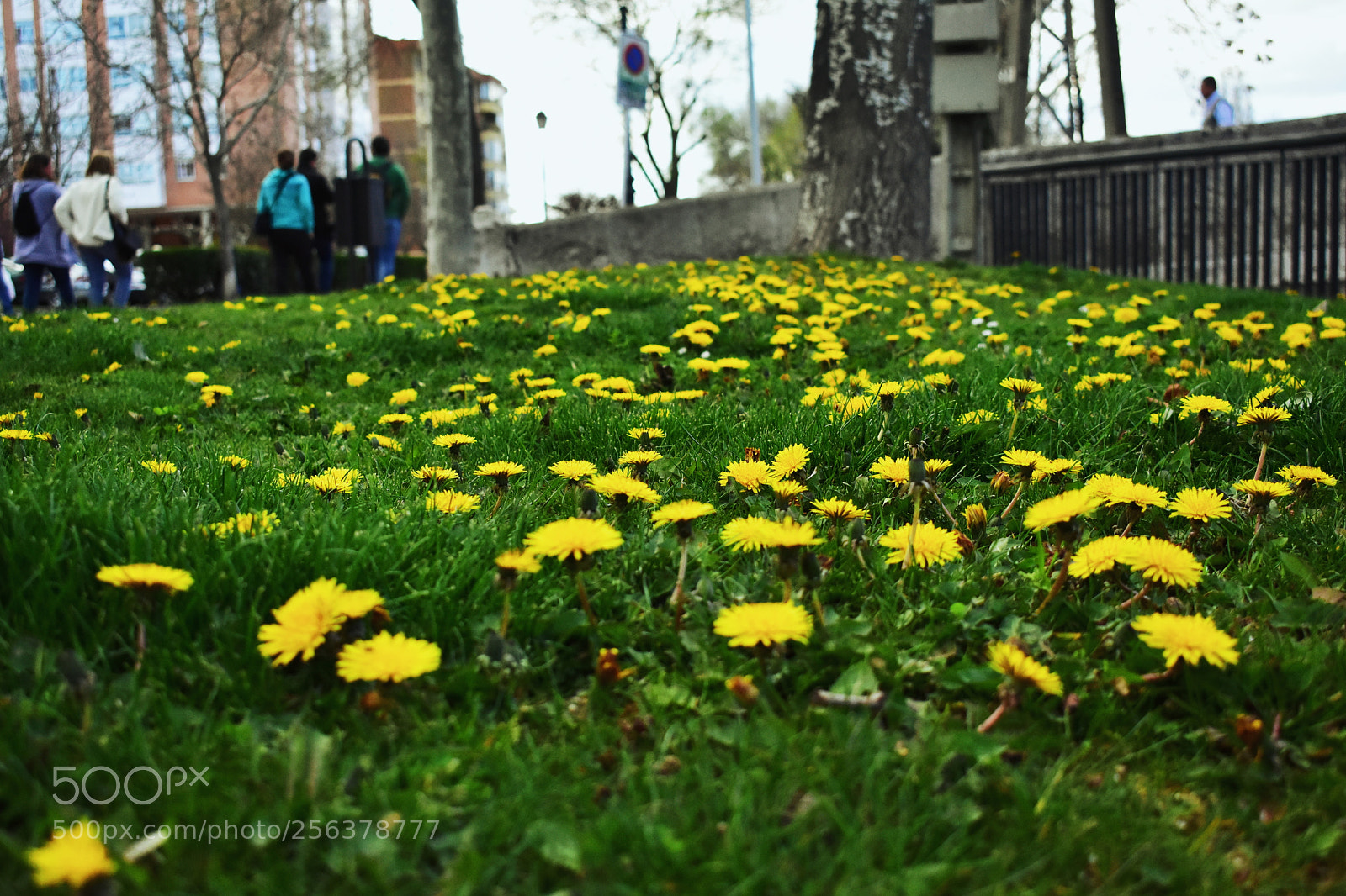 Nikon D3400 sample photo. Untitled photography