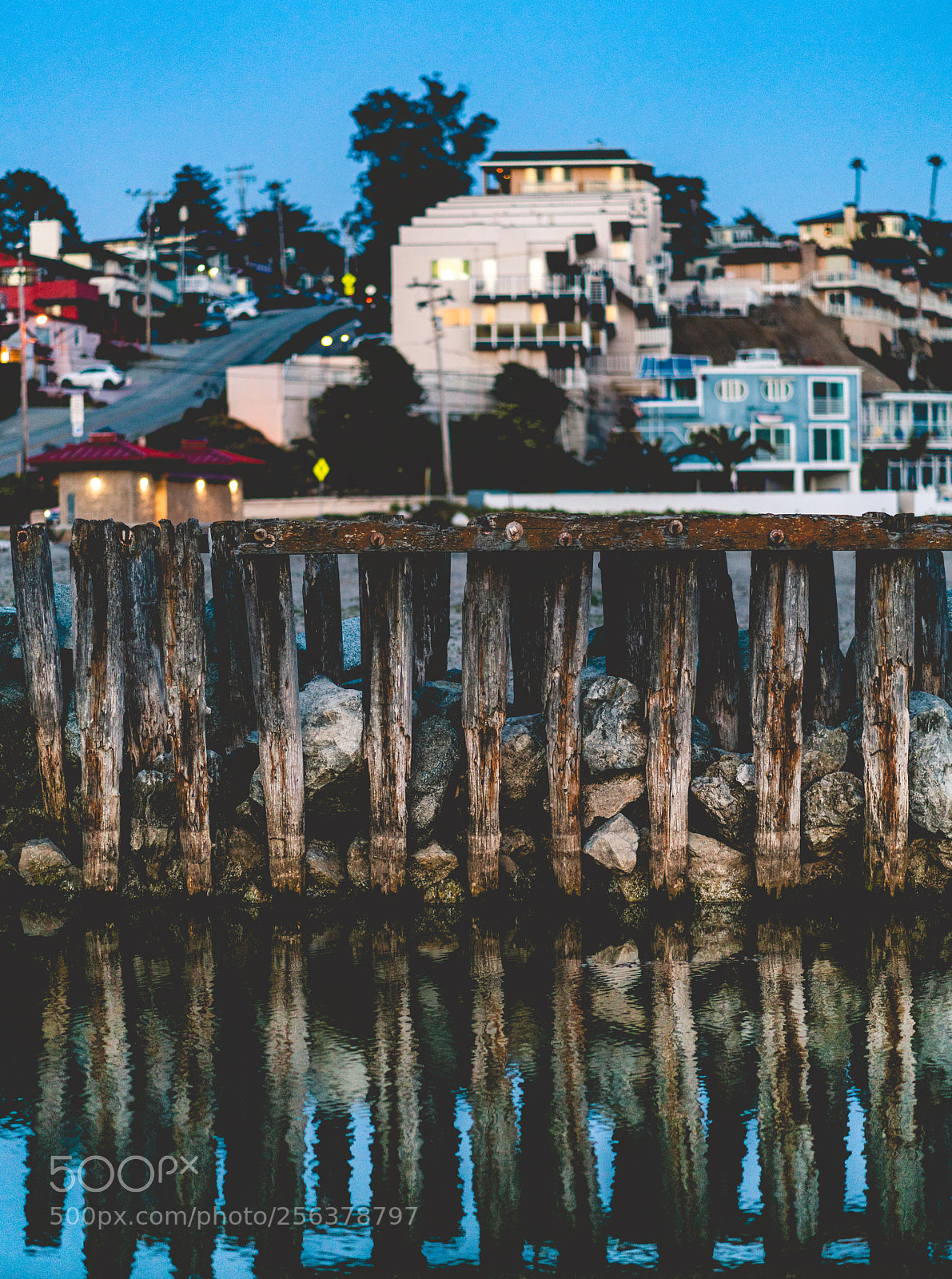 Sony a7R II sample photo. Untitled photography