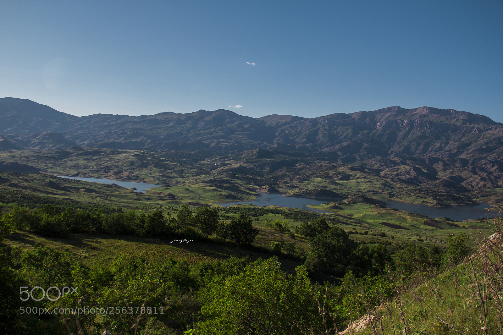 Canon EOS 60D sample photo. Nature photography