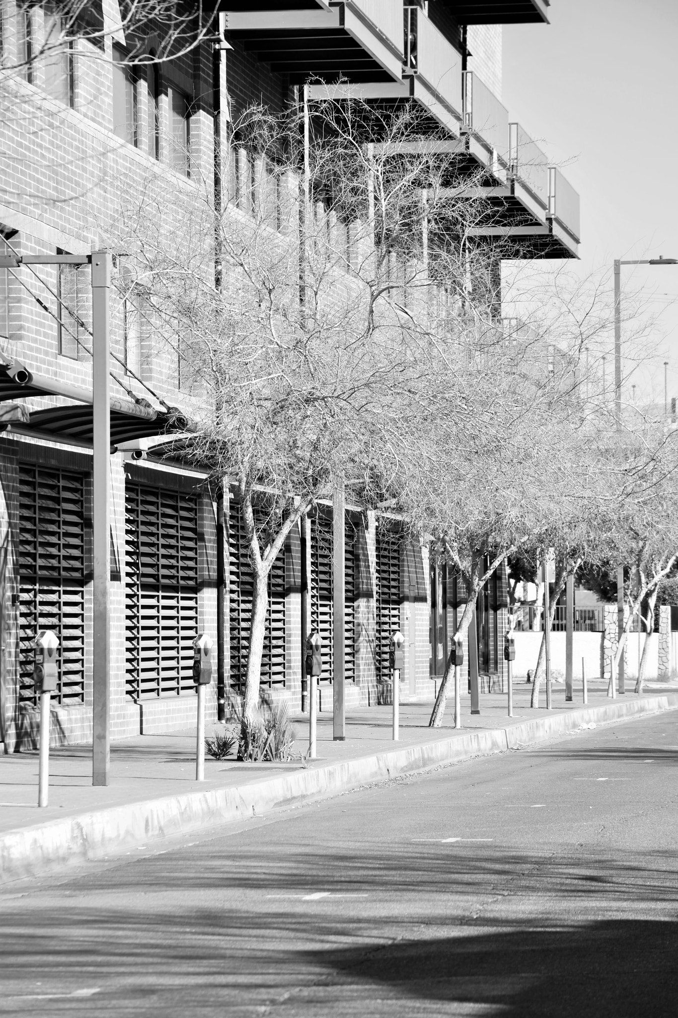 Nikon D3400 sample photo. Empty street photography