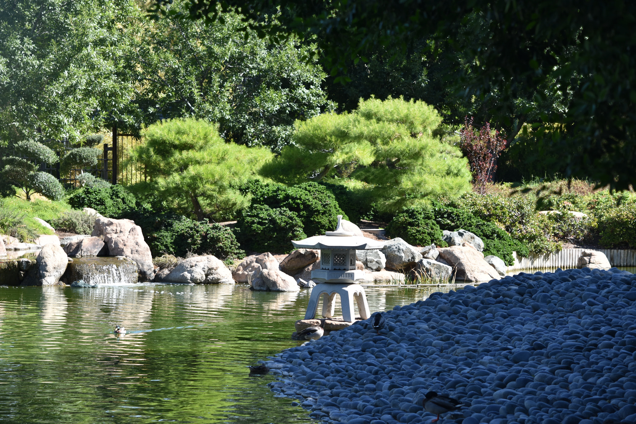 Nikon D3400 sample photo. Peace and tranquility photography