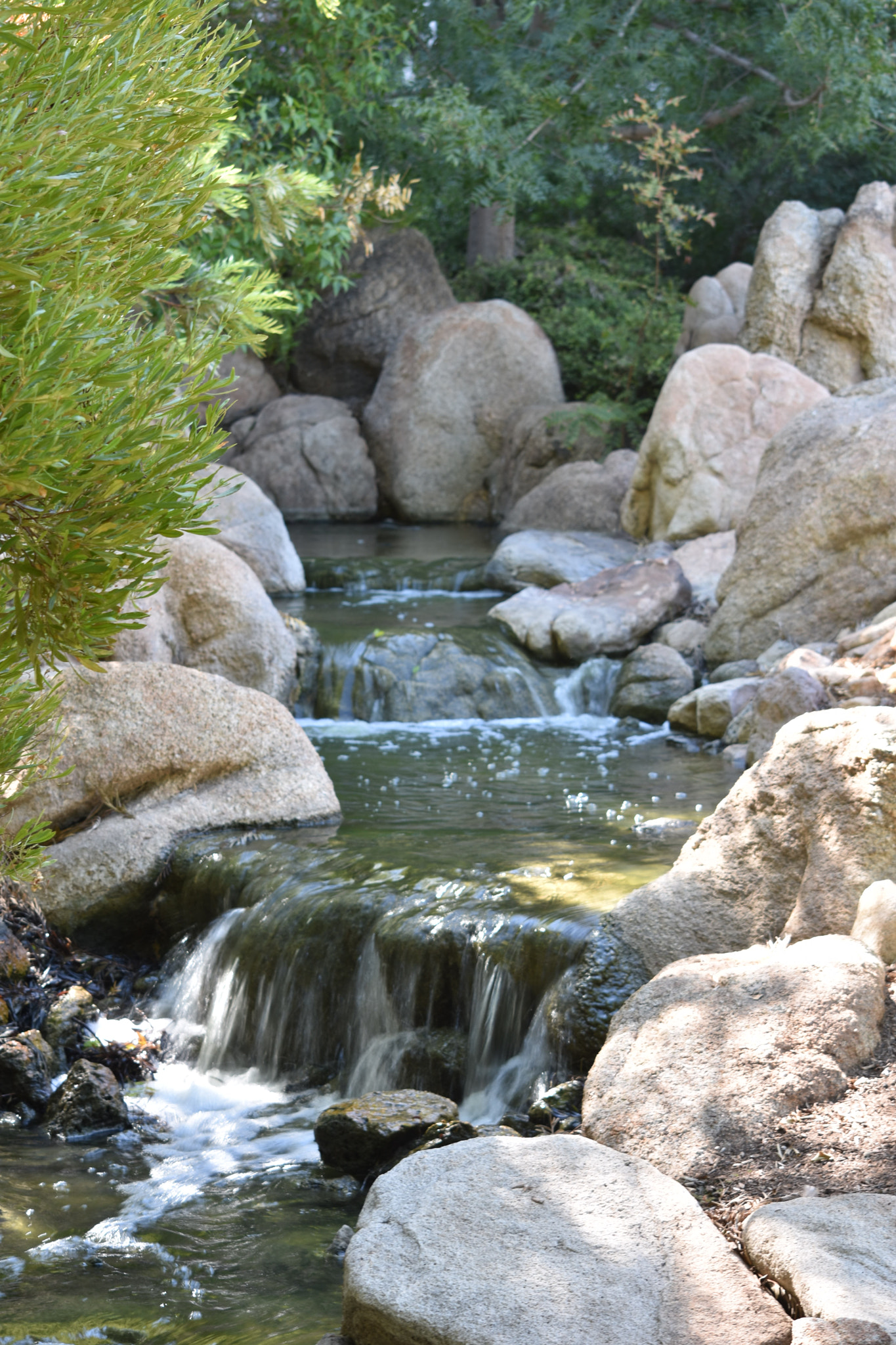 Nikon D3400 sample photo. Dsc photography