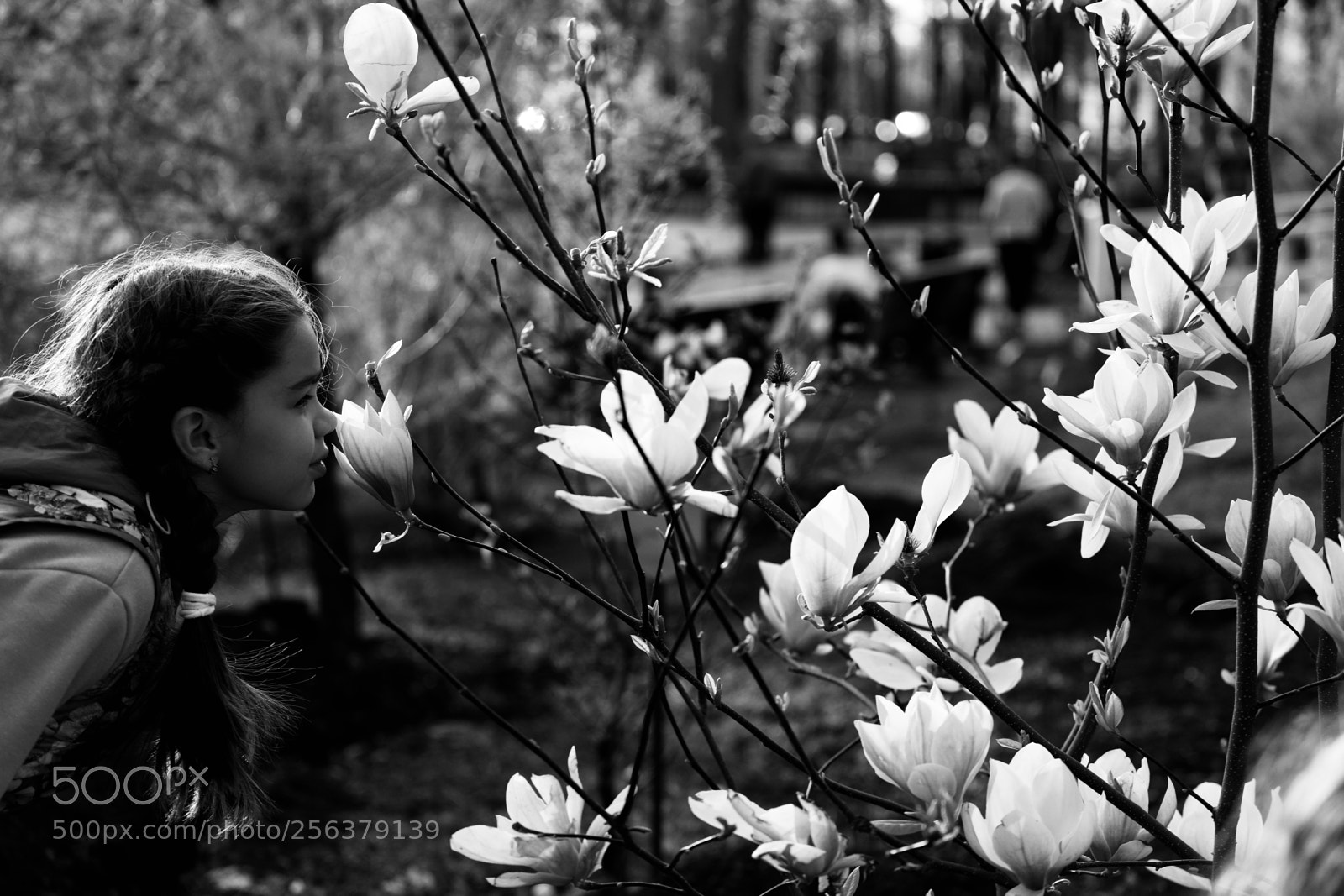 Canon EOS 5DS sample photo. Magnolia and a girl photography