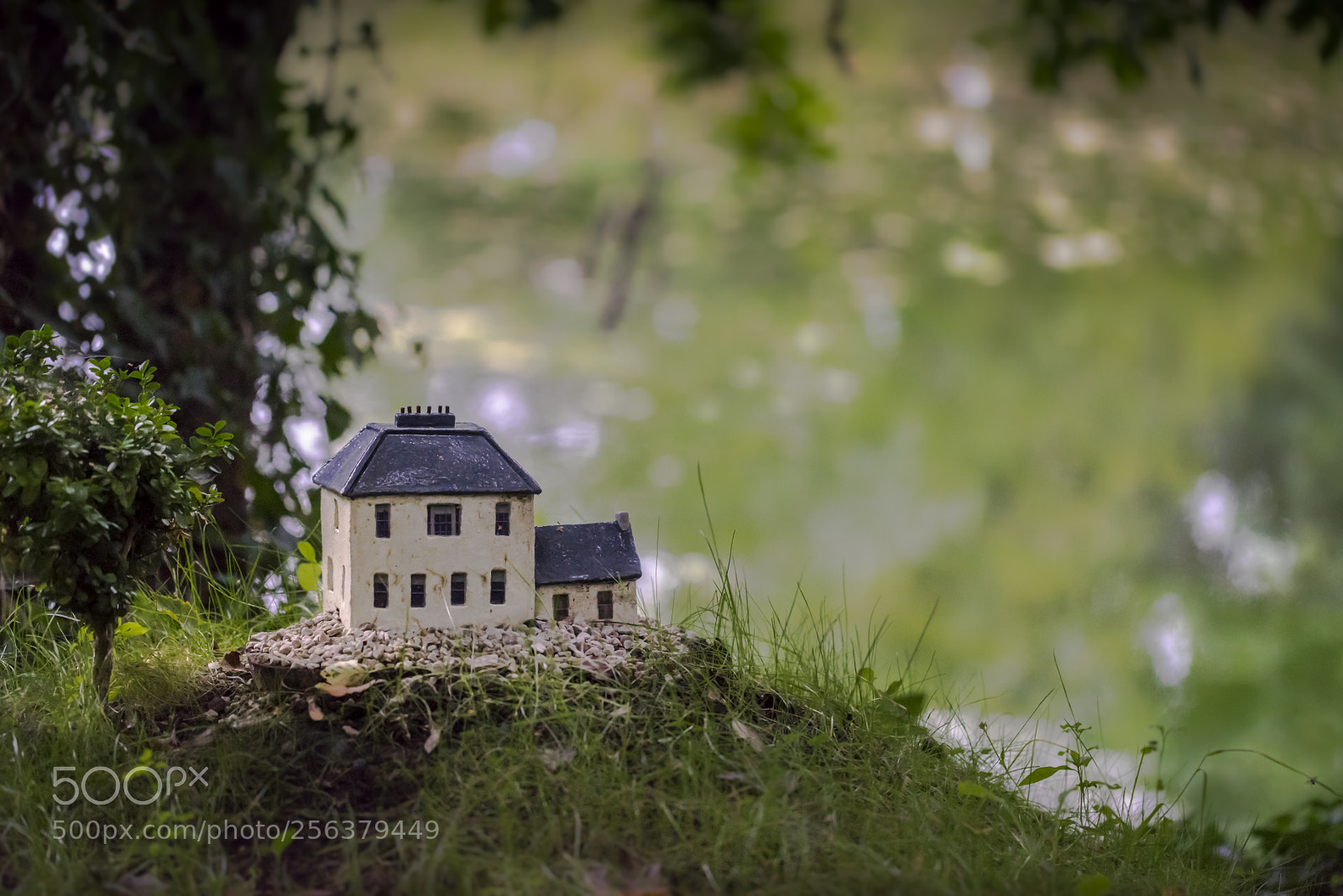 Sony a7R sample photo. Queen mab's cottage photography
