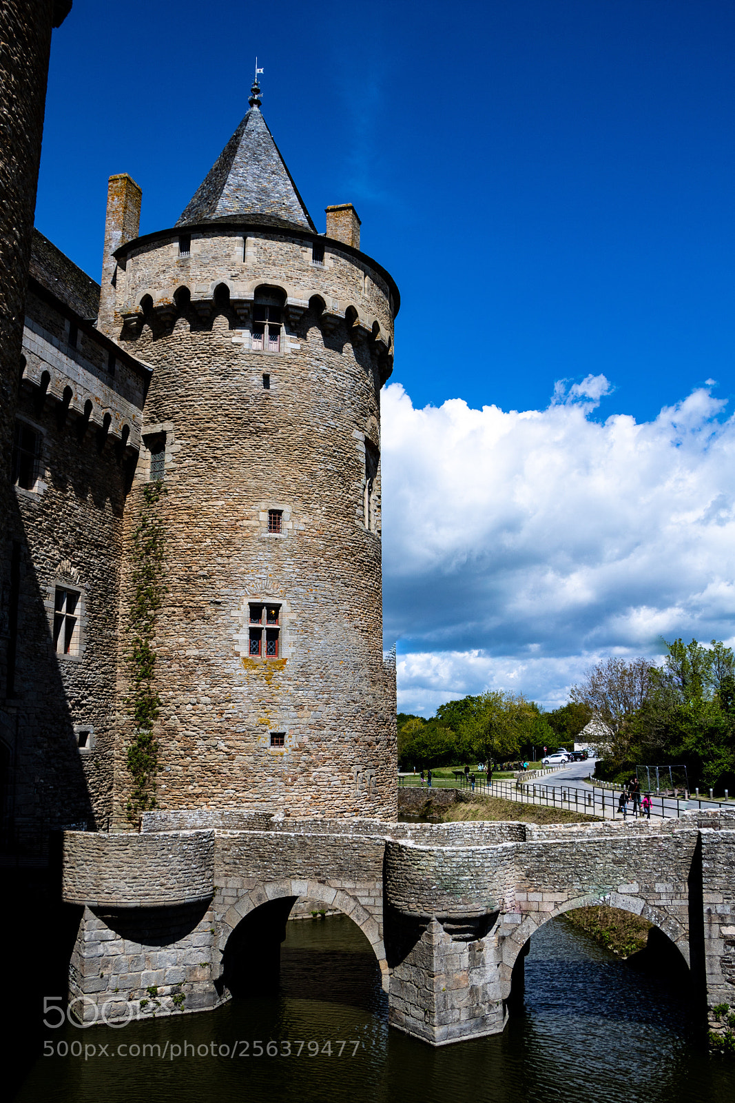 Canon EOS 750D (EOS Rebel T6i / EOS Kiss X8i) sample photo. Ch teau de suscinio,sarzeau photography