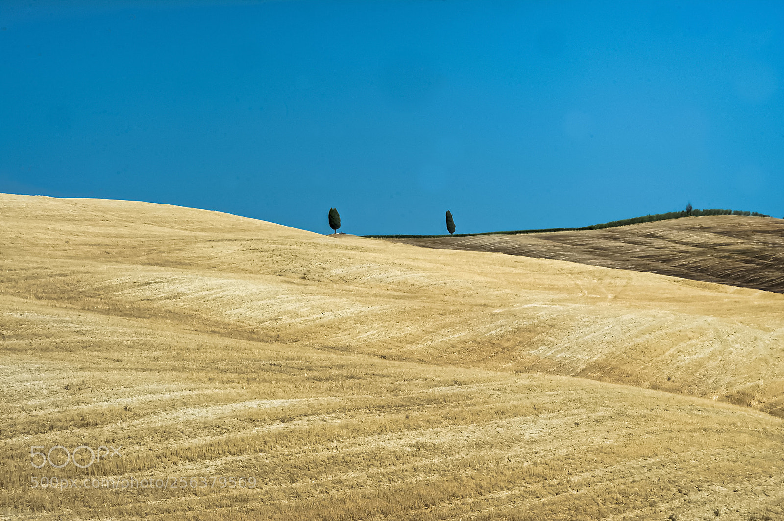 Nikon D700 sample photo. Twogether.... photography