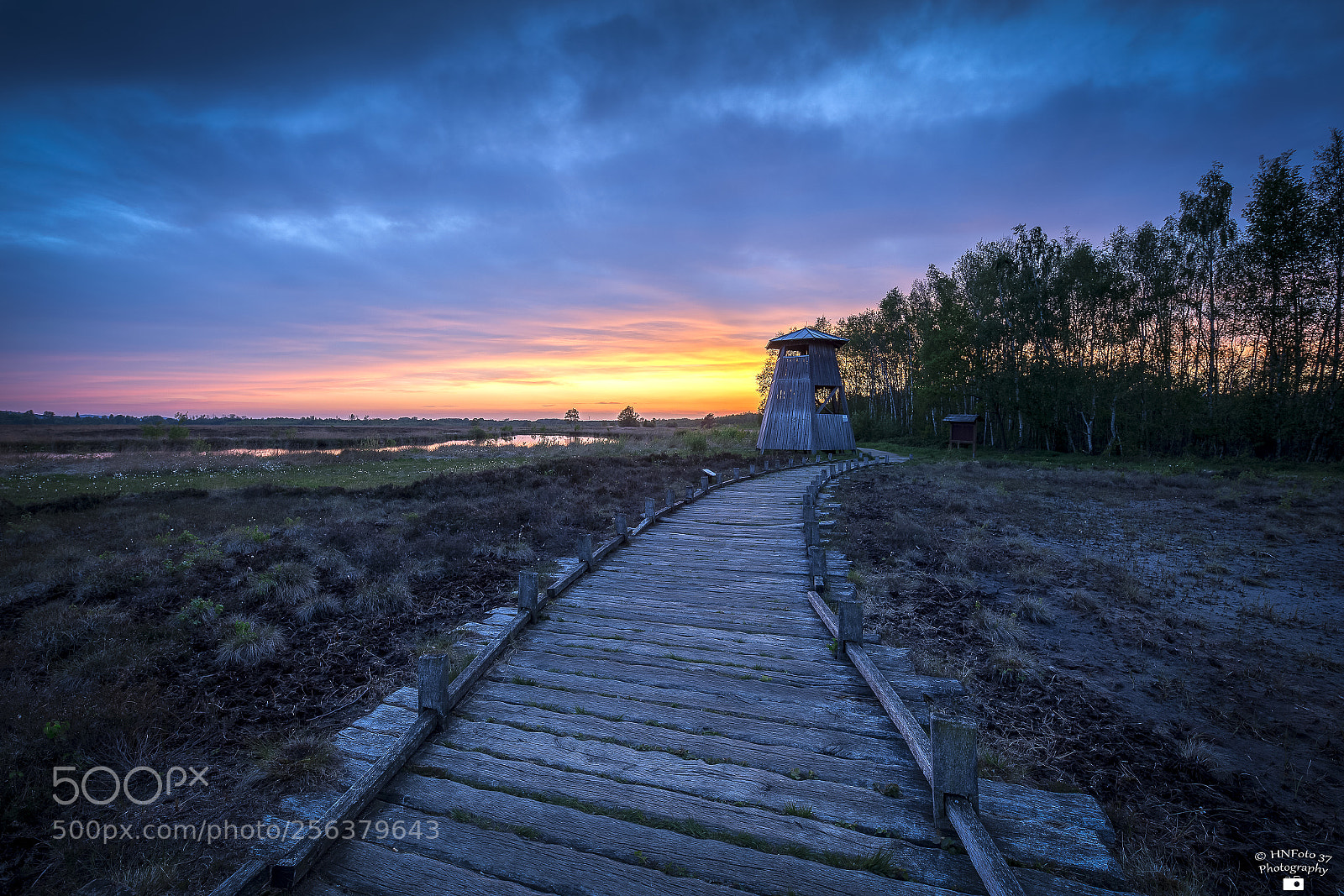 Canon EOS 6D sample photo. Peatland photography