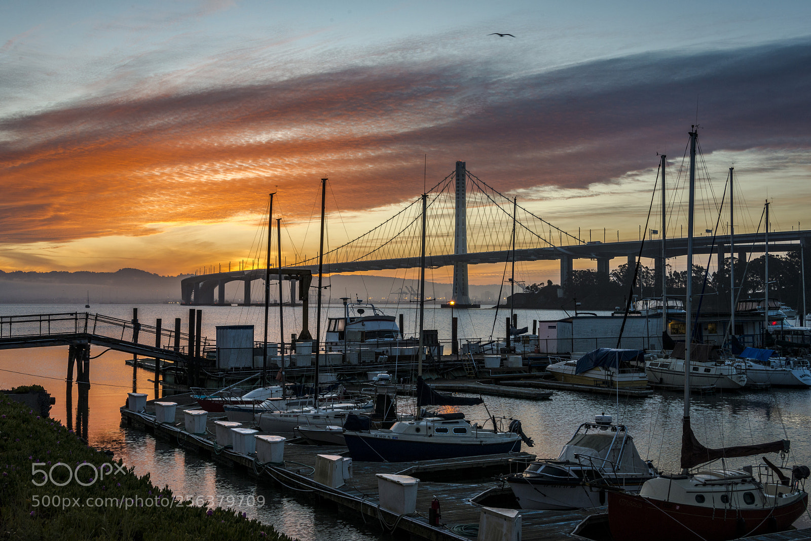 Nikon D800 sample photo. San francisco bay sunrise photography