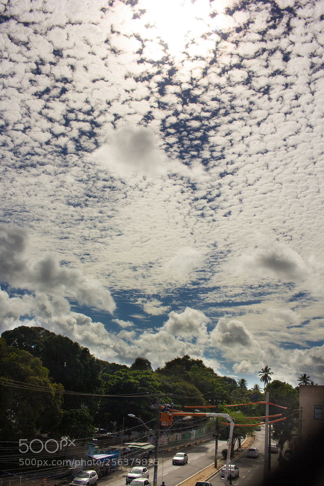 Canon EOS 60D sample photo. Silveira martins photography