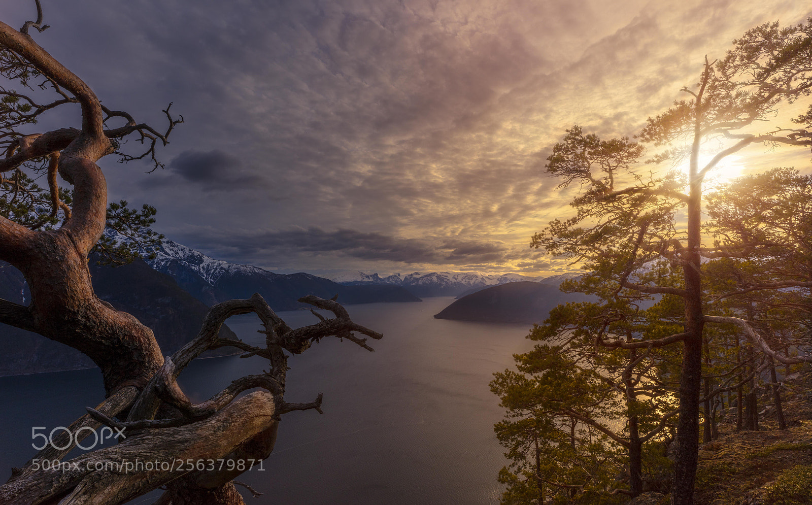 Canon EOS 5DS sample photo. Views over sognefjorden photography