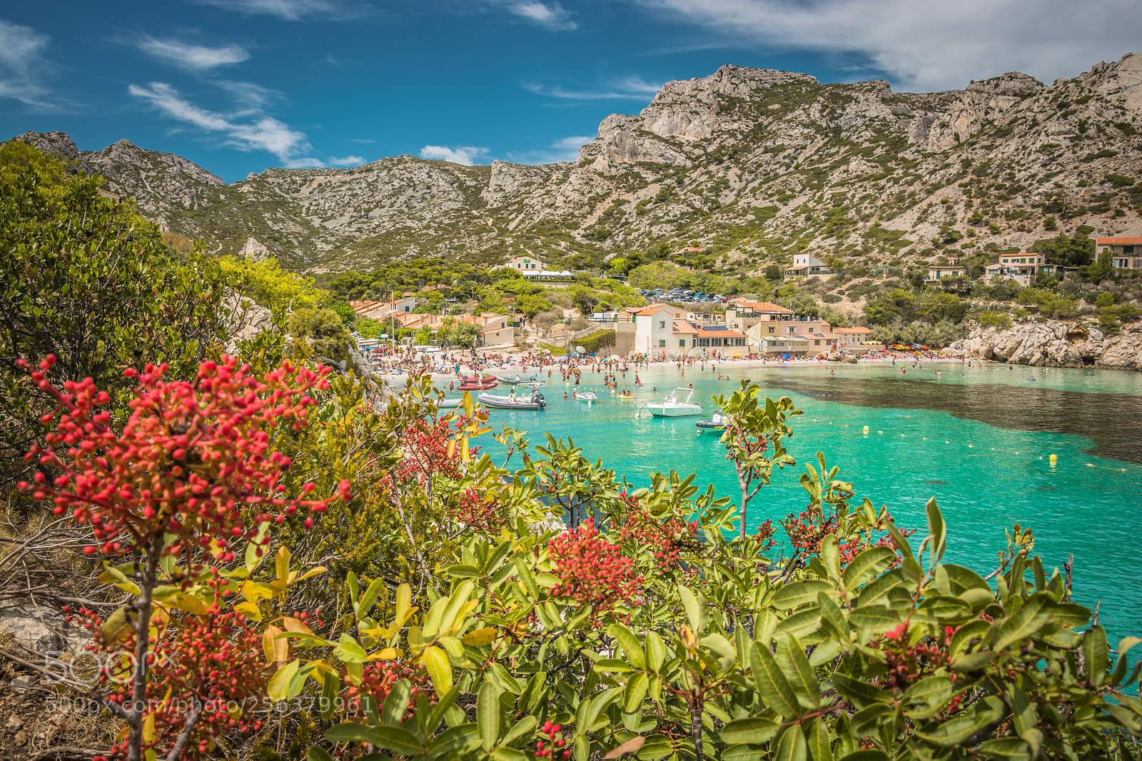 Nikon D7100 sample photo. Cassis en flowers... photography