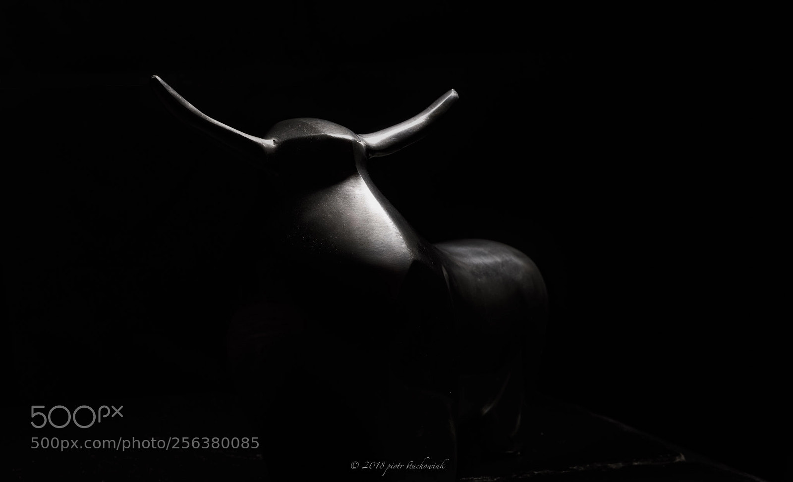 Nikon D810 sample photo. El toro... photography