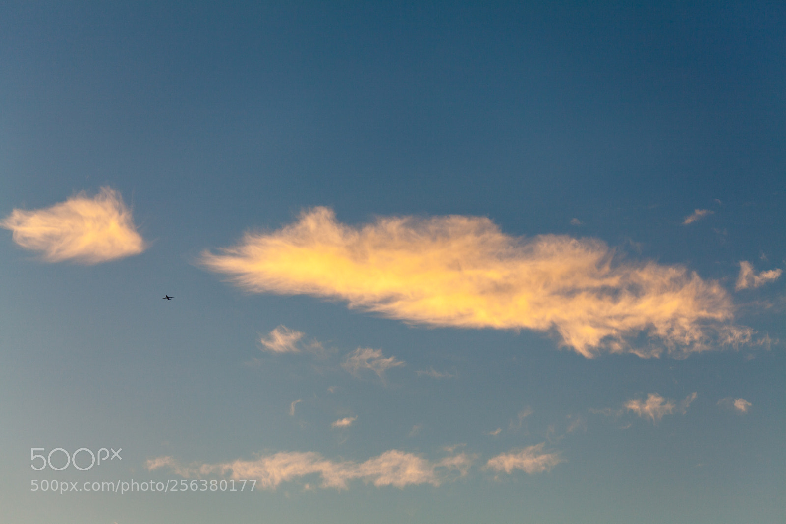 Canon EOS 5D Mark II sample photo. Untitled photography