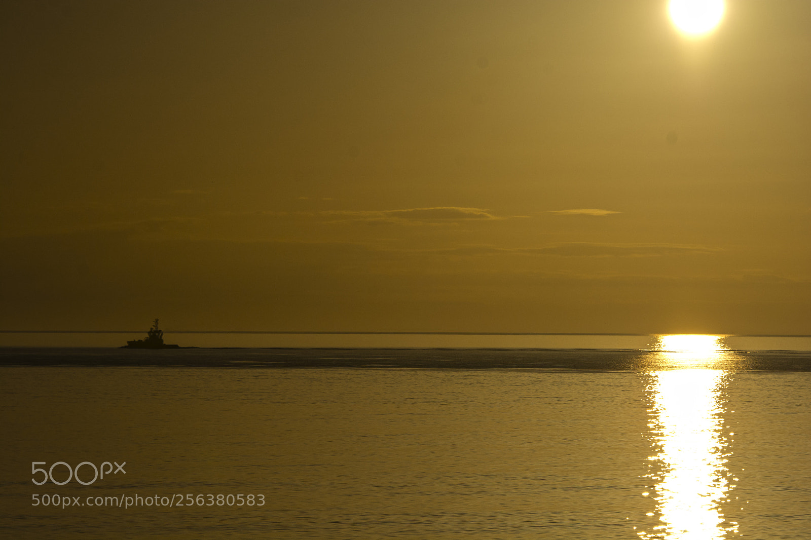Nikon D7100 sample photo. Jpg photography