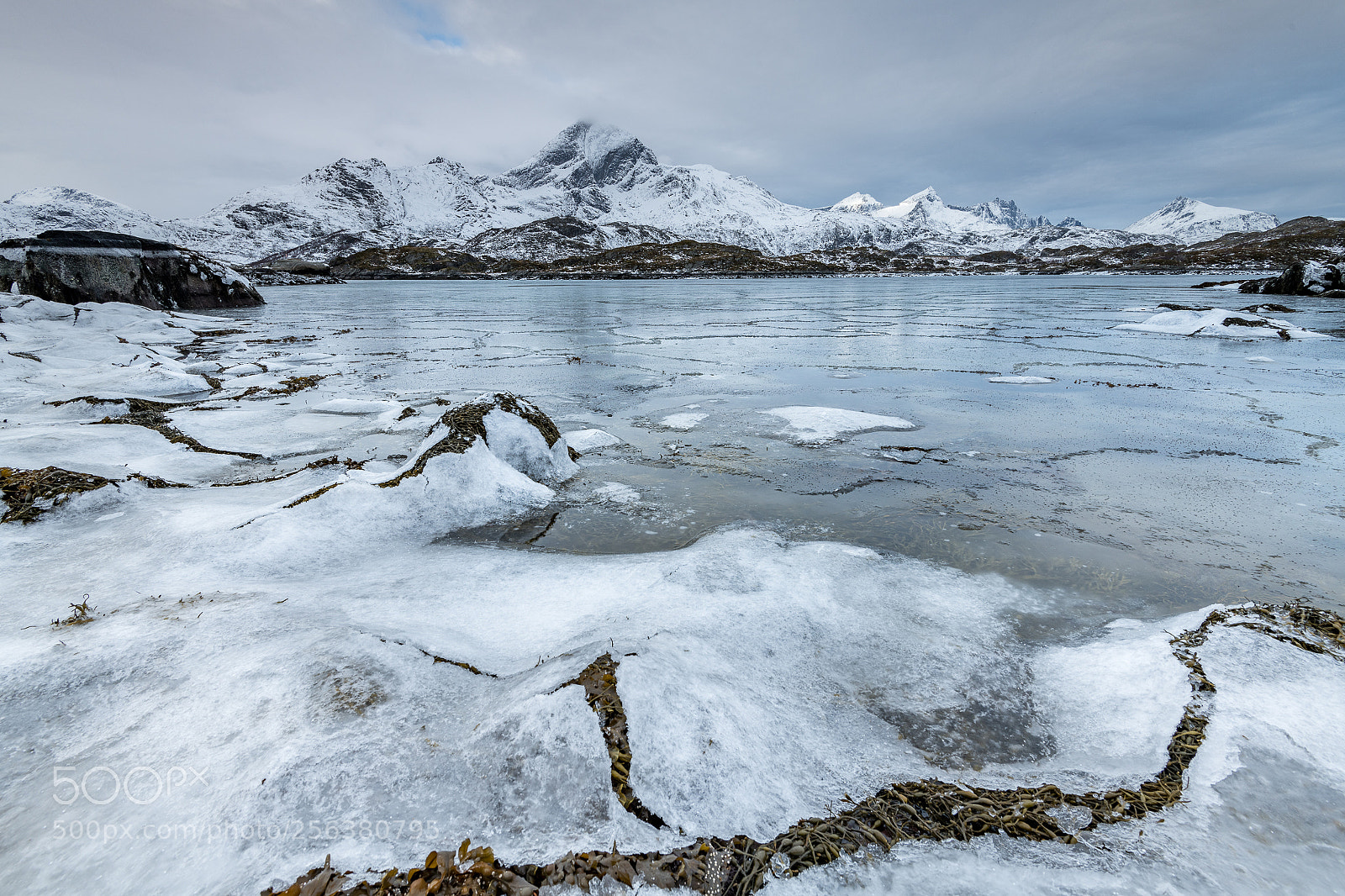 Nikon D850 sample photo. Fjord ice photography