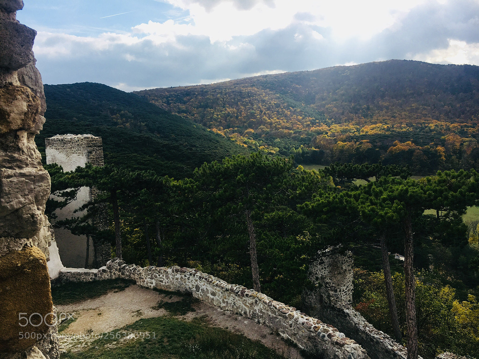 Apple iPhone 6s sample photo. Vienna forrest photography