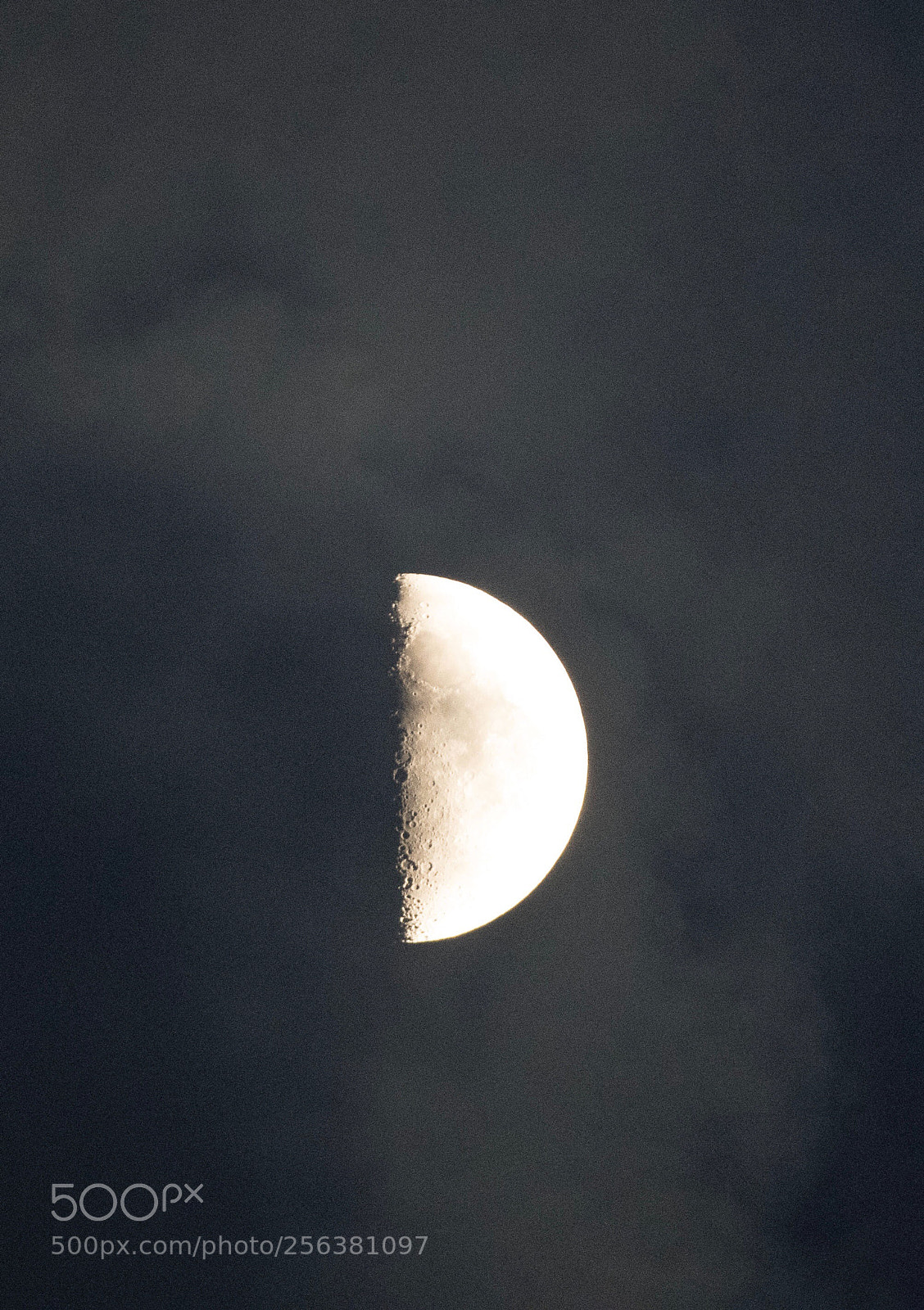 Nikon D5 sample photo. Untitled photography