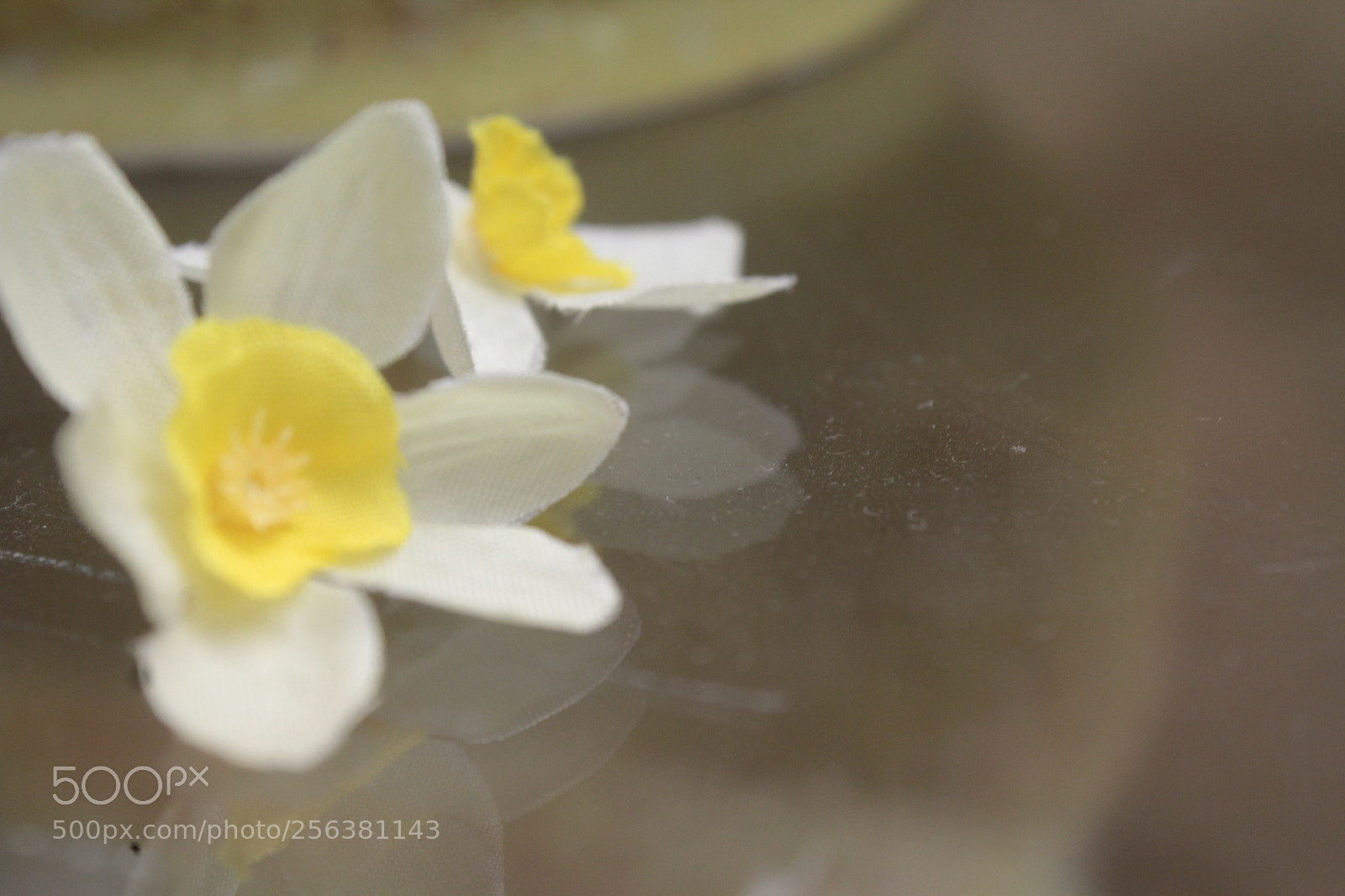 Canon EOS 1200D (EOS Rebel T5 / EOS Kiss X70 / EOS Hi) sample photo. Plastic flower photography