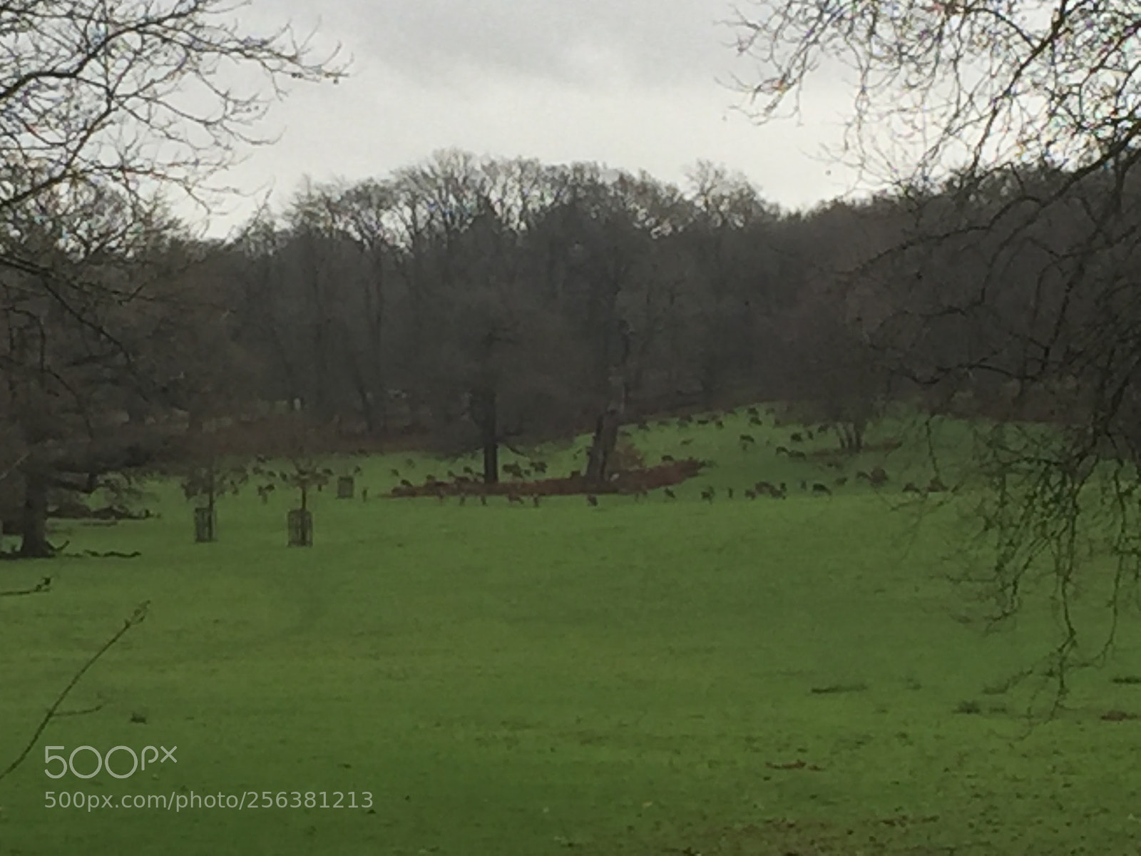 Apple iPhone 6 sample photo. Windsor, eton & hampton palace photography
