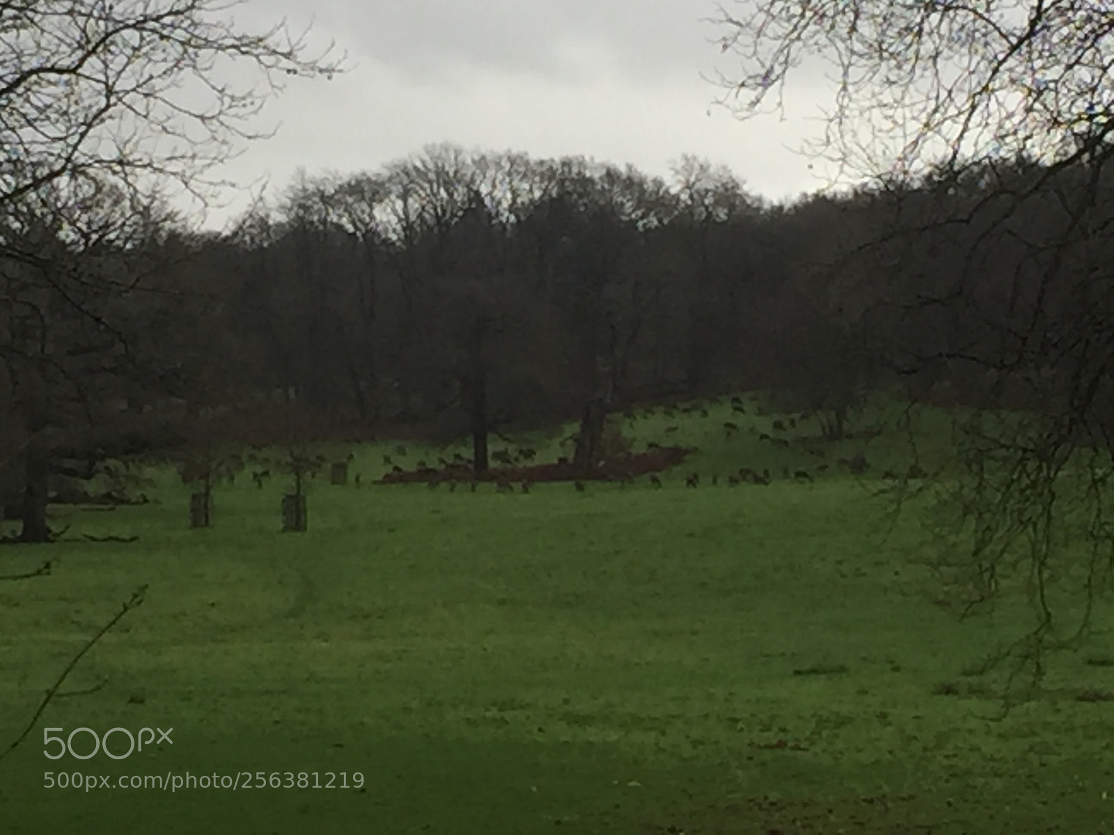 Apple iPhone 6 sample photo. Windsor, eton & hampton palace photography
