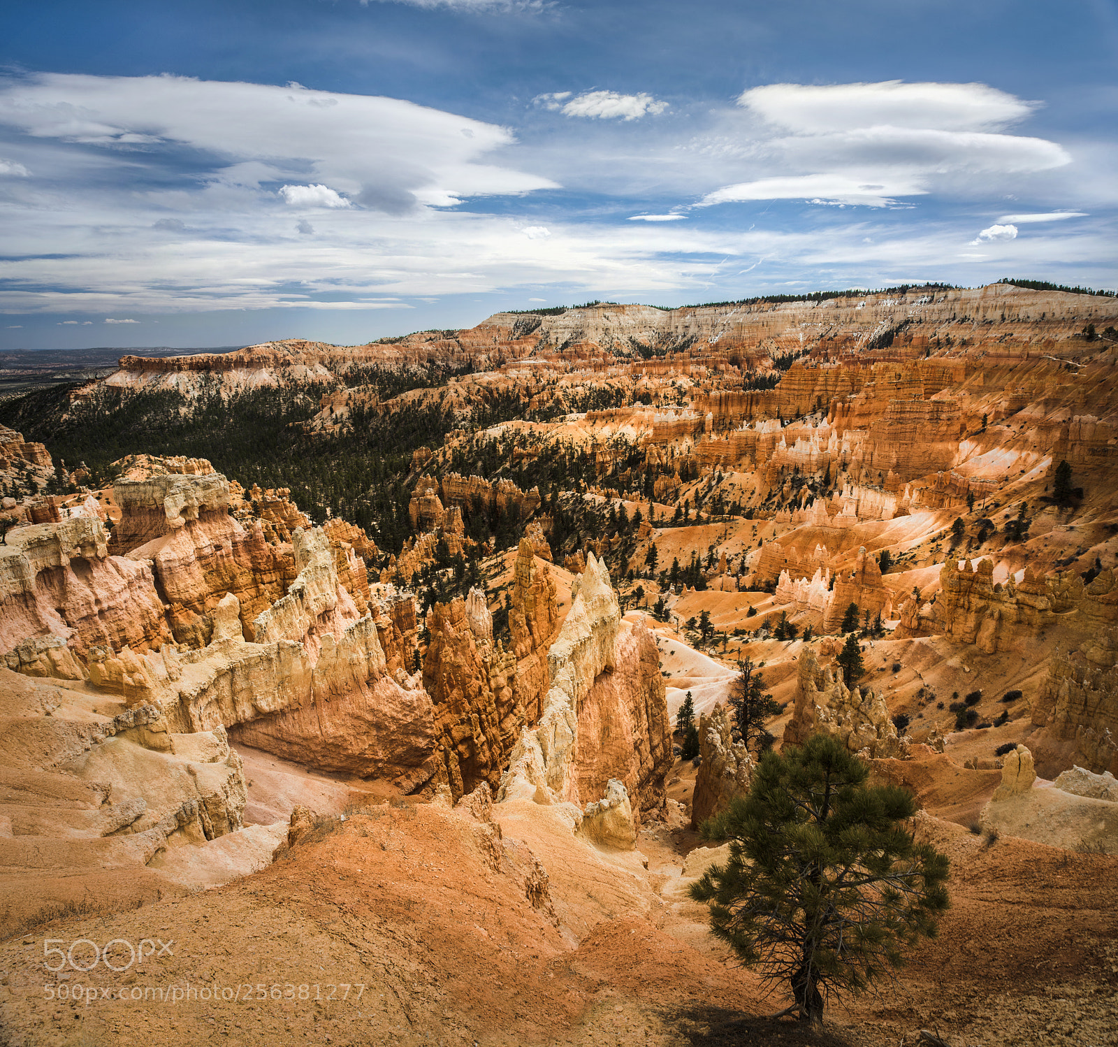 Nikon D810 sample photo. Bryce canyon photography