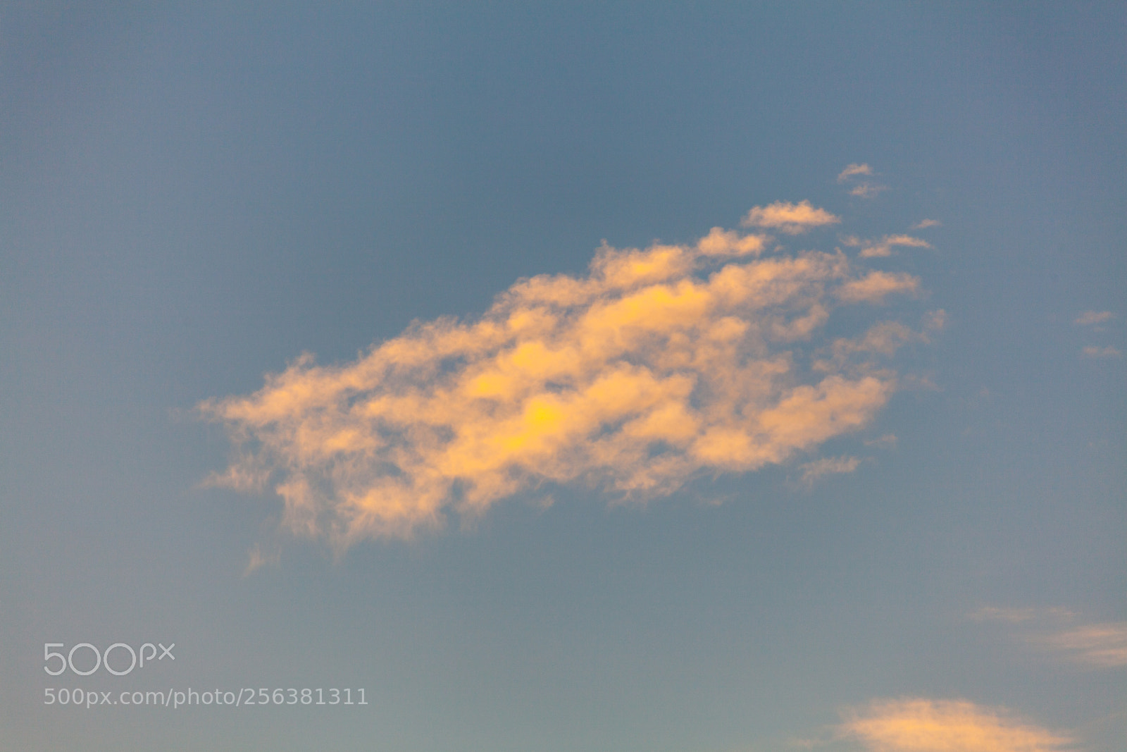 Canon EOS 5D Mark II sample photo. Untitled photography