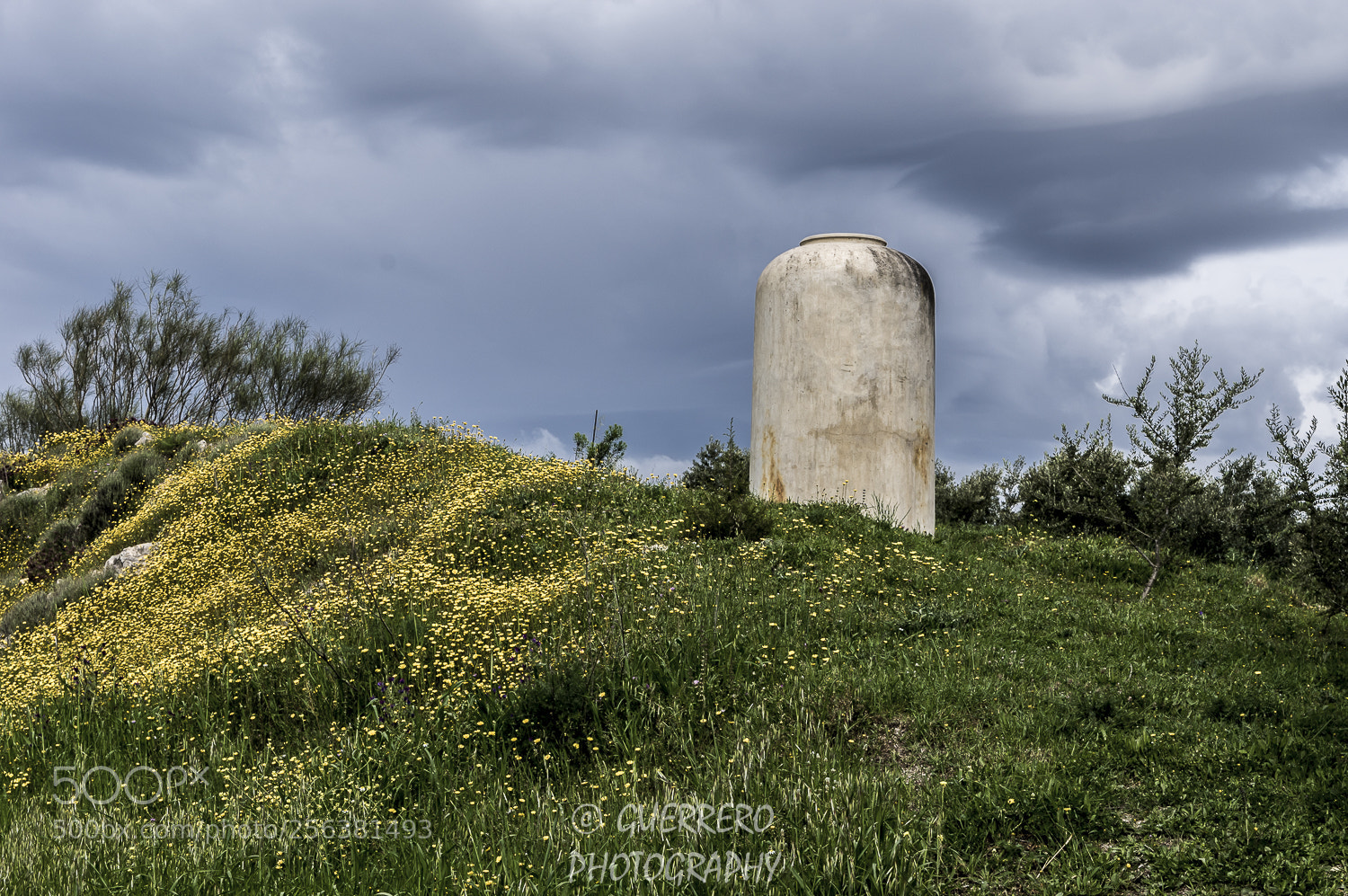 Pentax K-3 II sample photo. Tinaja photography
