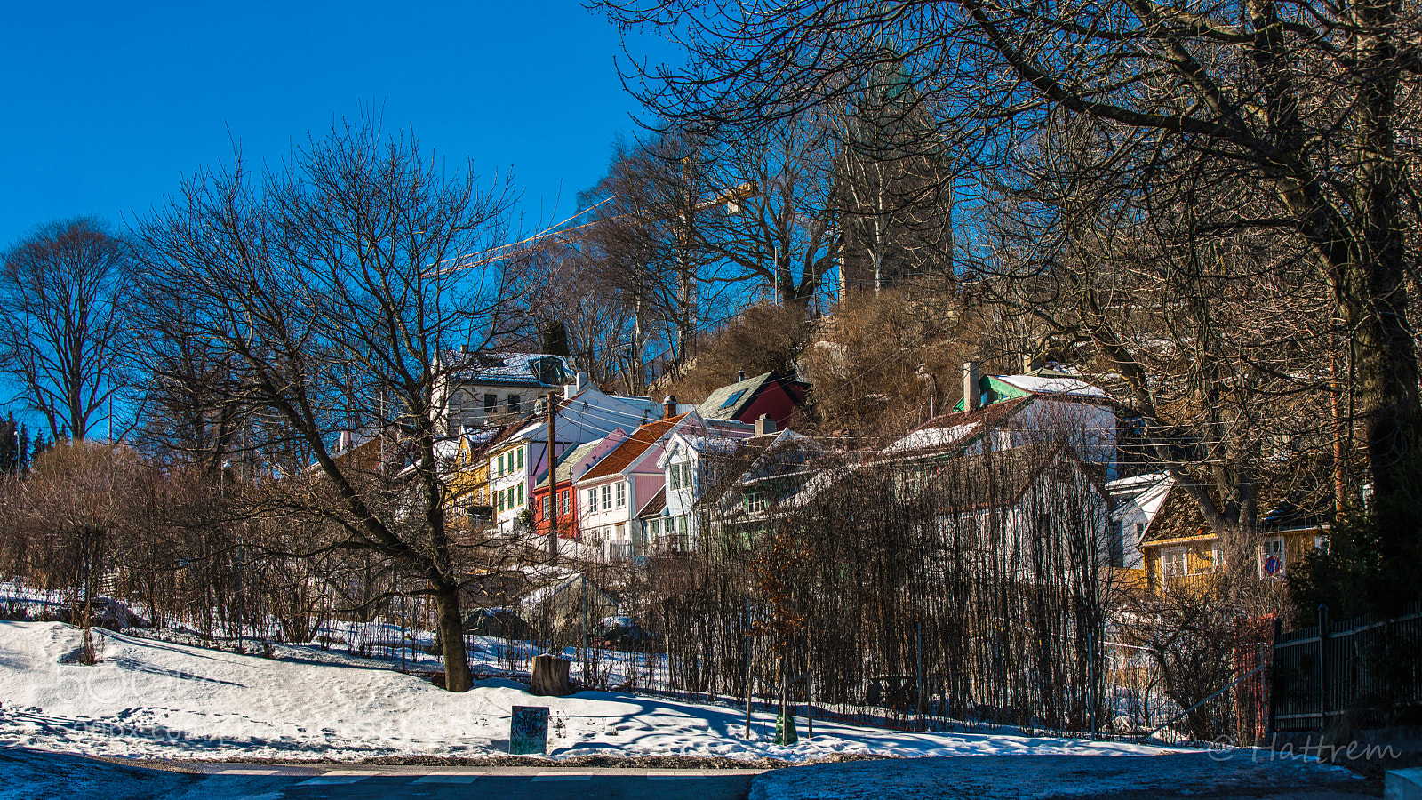 Canon EOS 5D Mark IV sample photo. Telthusbakken photography