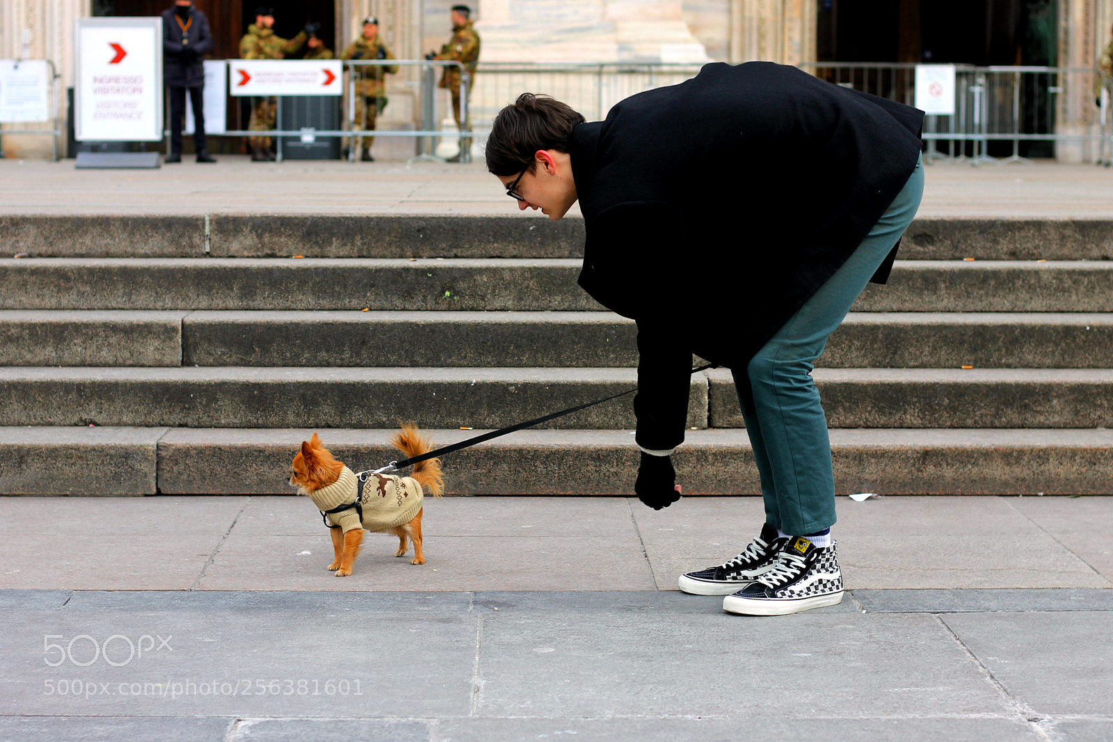 Canon EOS 1100D (EOS Rebel T3 / EOS Kiss X50) sample photo. Milano, dogs. photography
