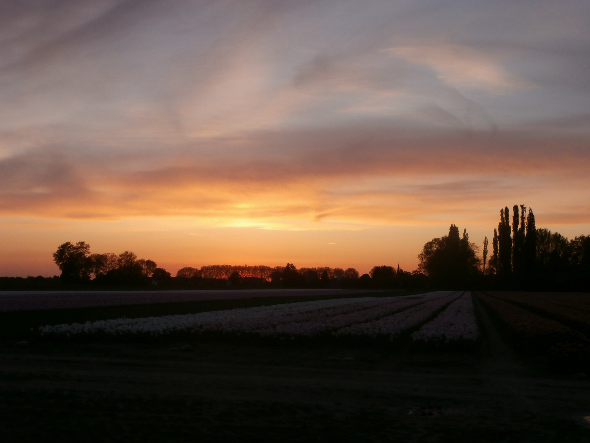 Olympus VR340,D750 sample photo. Sunset. photography