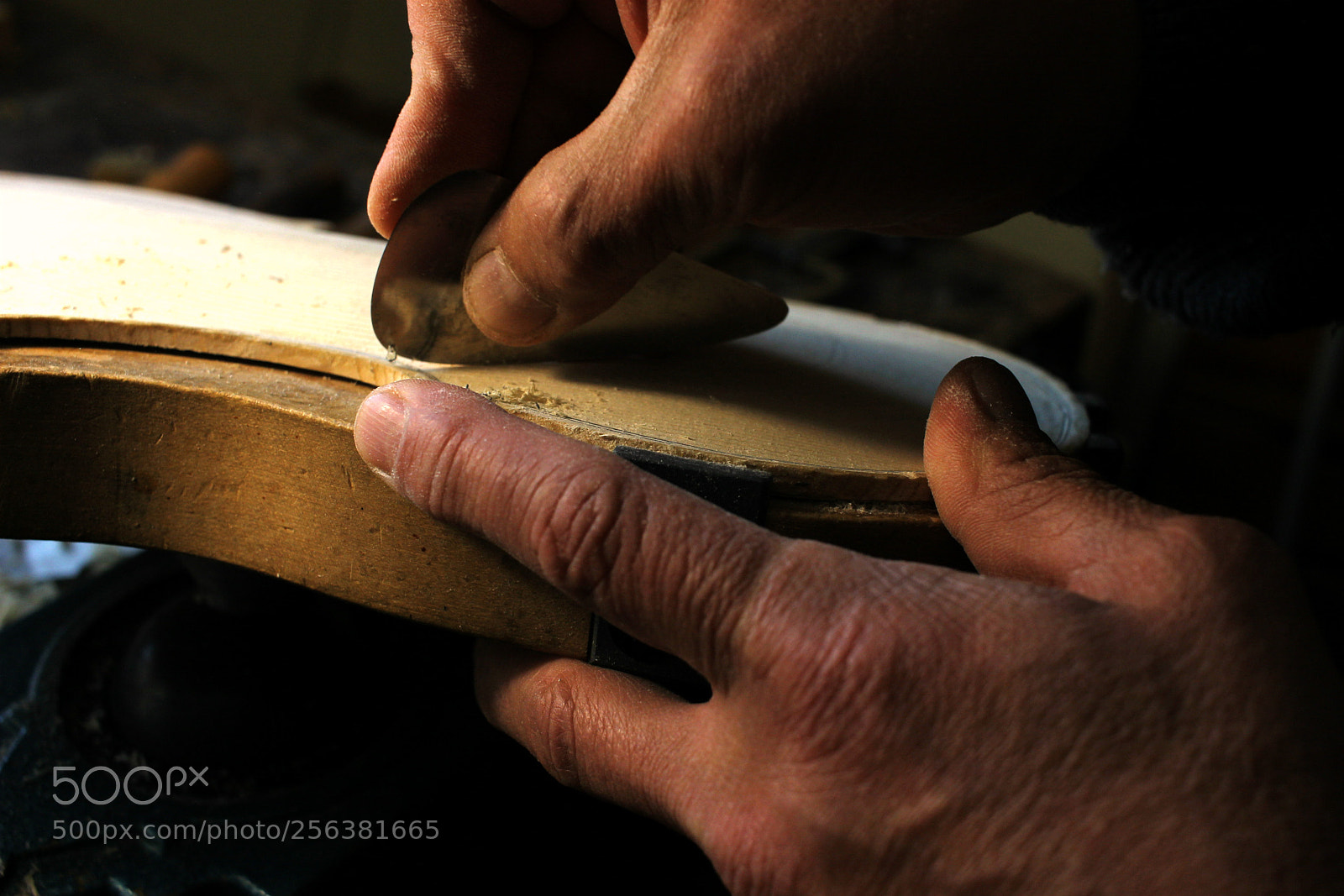 Canon EOS 1100D (EOS Rebel T3 / EOS Kiss X50) sample photo. Maker of violins, violas photography