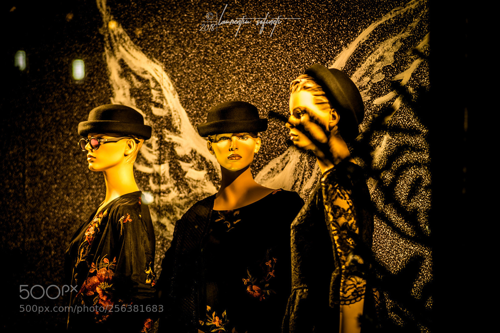 Nikon D750 sample photo. Thin beauty photography