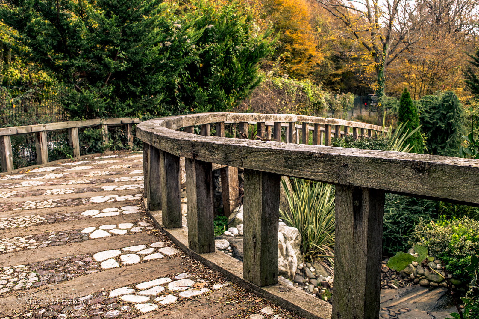 Nikon D3200 sample photo. Old style bridge photography