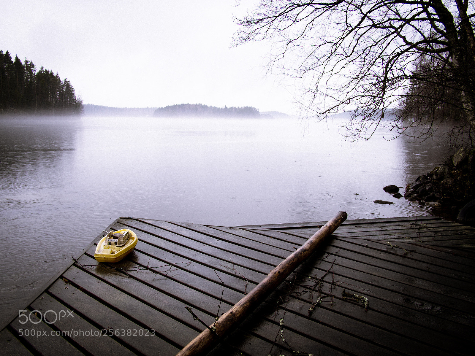 Olympus OM-D E-M5 sample photo. Misty spring day photography