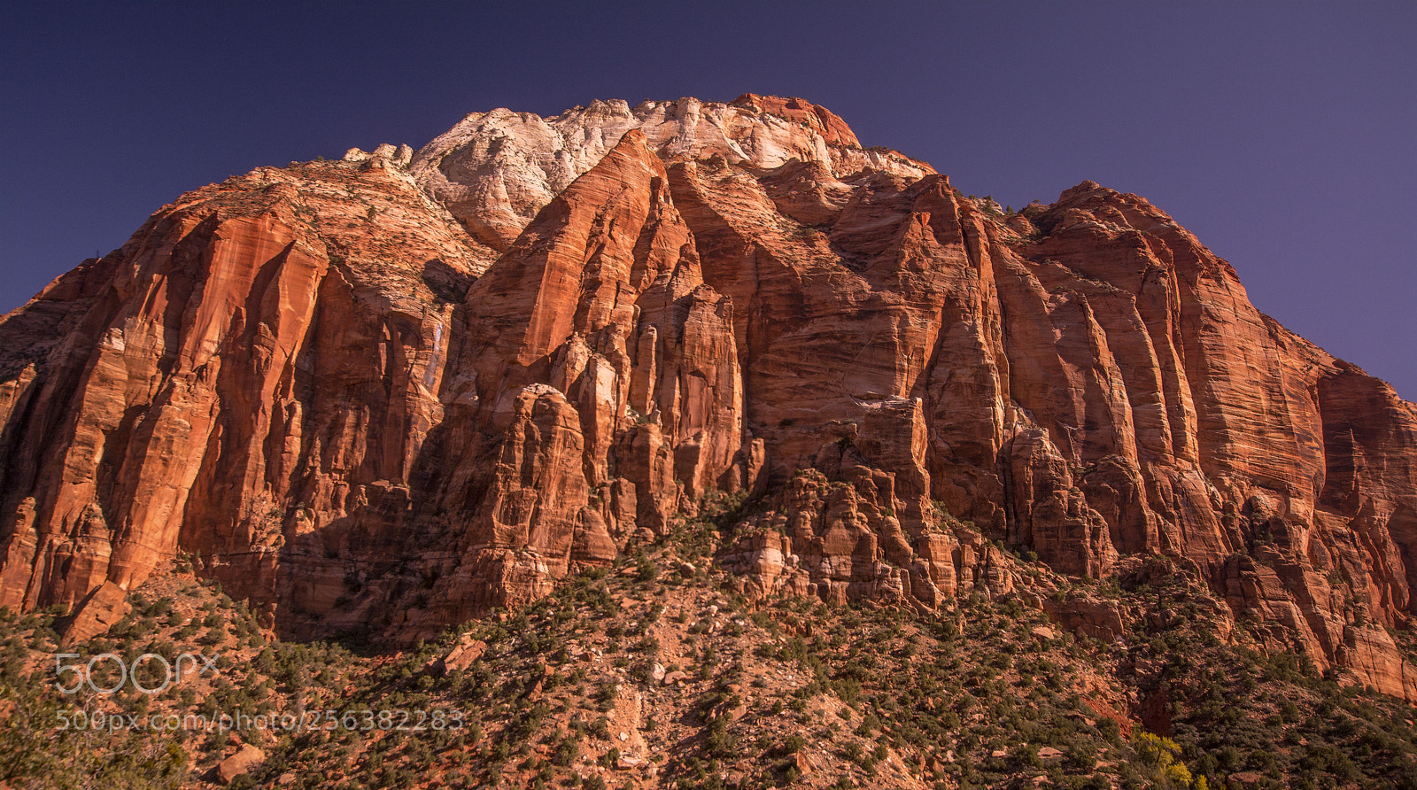 Nikon D7100 sample photo. Evening at zion rock photography