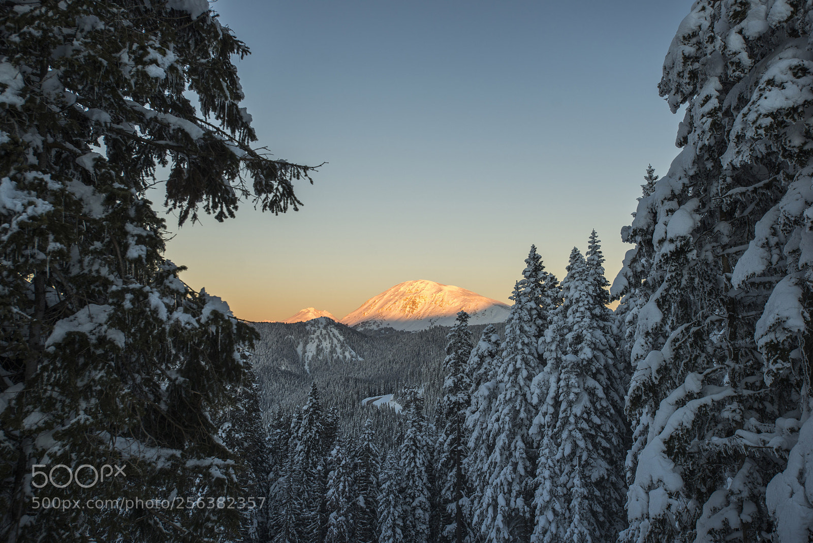 Nikon D610 sample photo. Ilgaz mountain photography