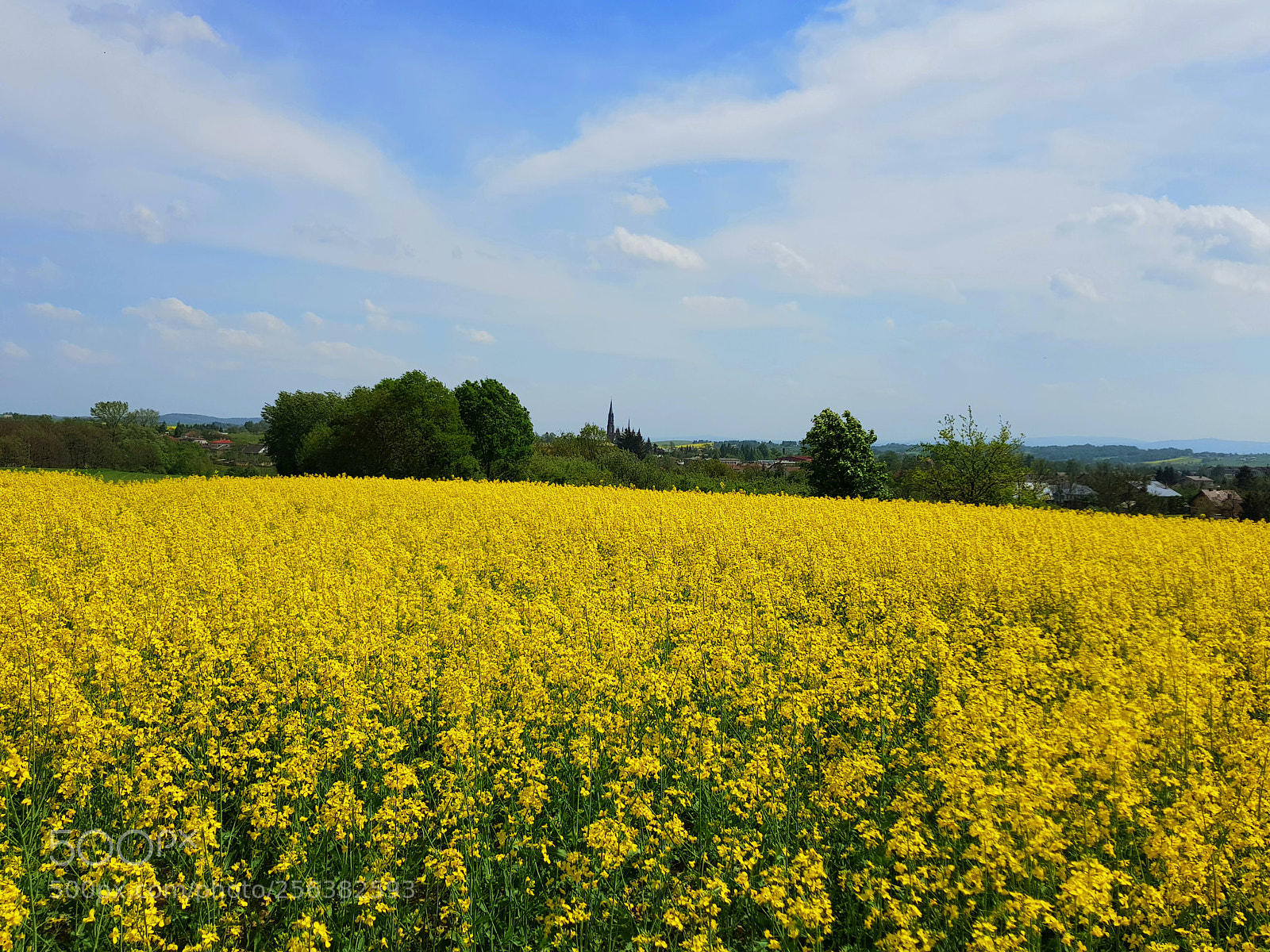 Samsung Galaxy S8 sample photo. Blue and yellow photography