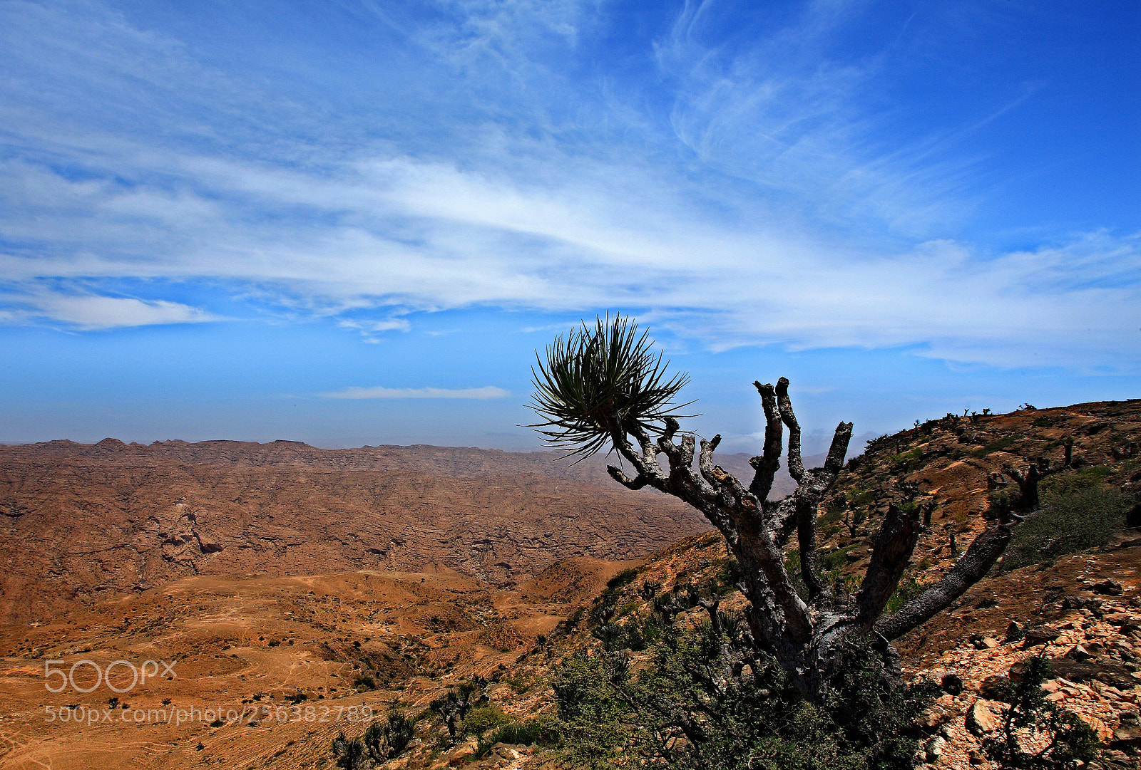 Canon EOS 5D sample photo. N13 photography