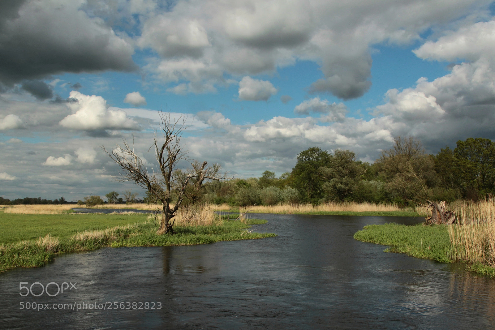 Canon EOS-1D Mark IV sample photo. Untitled photography