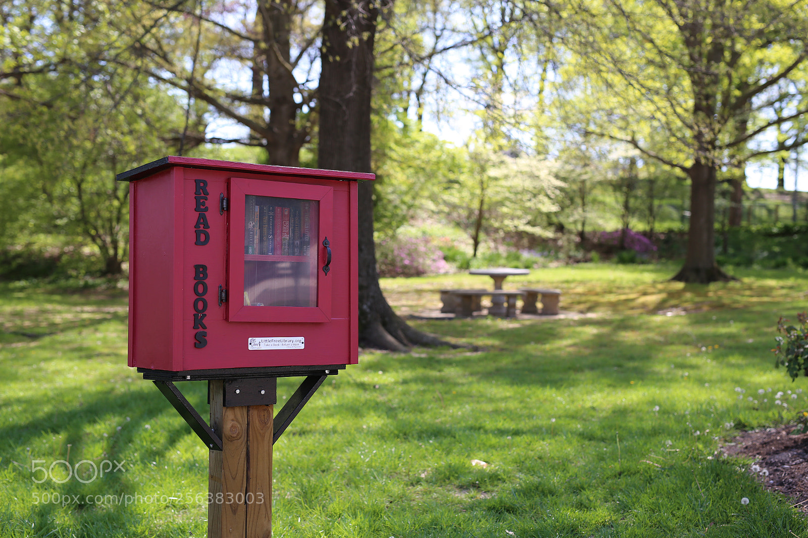 Canon EOS 6D sample photo. Books photography