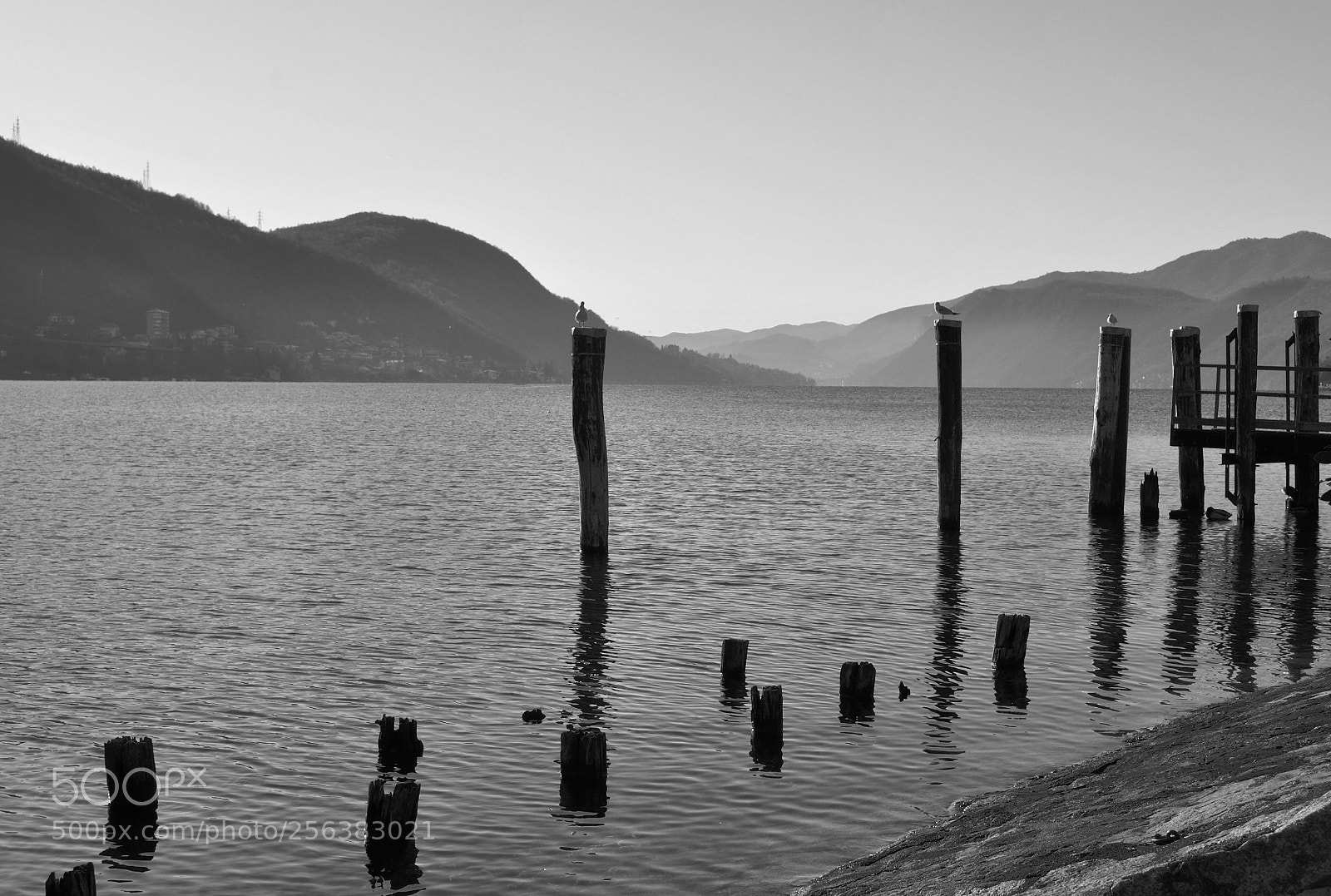 Nikon D5000 sample photo. Lake photography