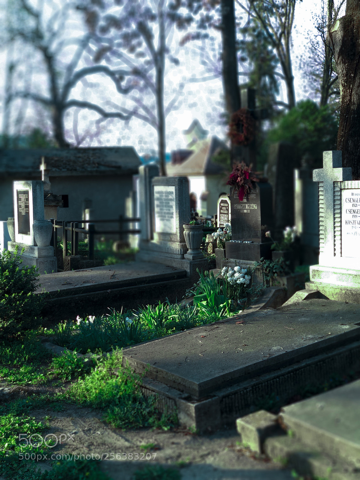 Xiaomi Mi A1 sample photo. Cementerio photography