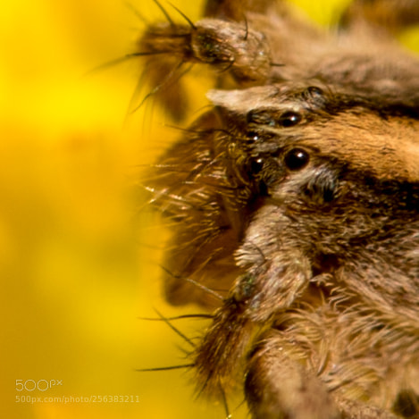 Nikon D750 sample photo. _dsc4793-4.jpg photography