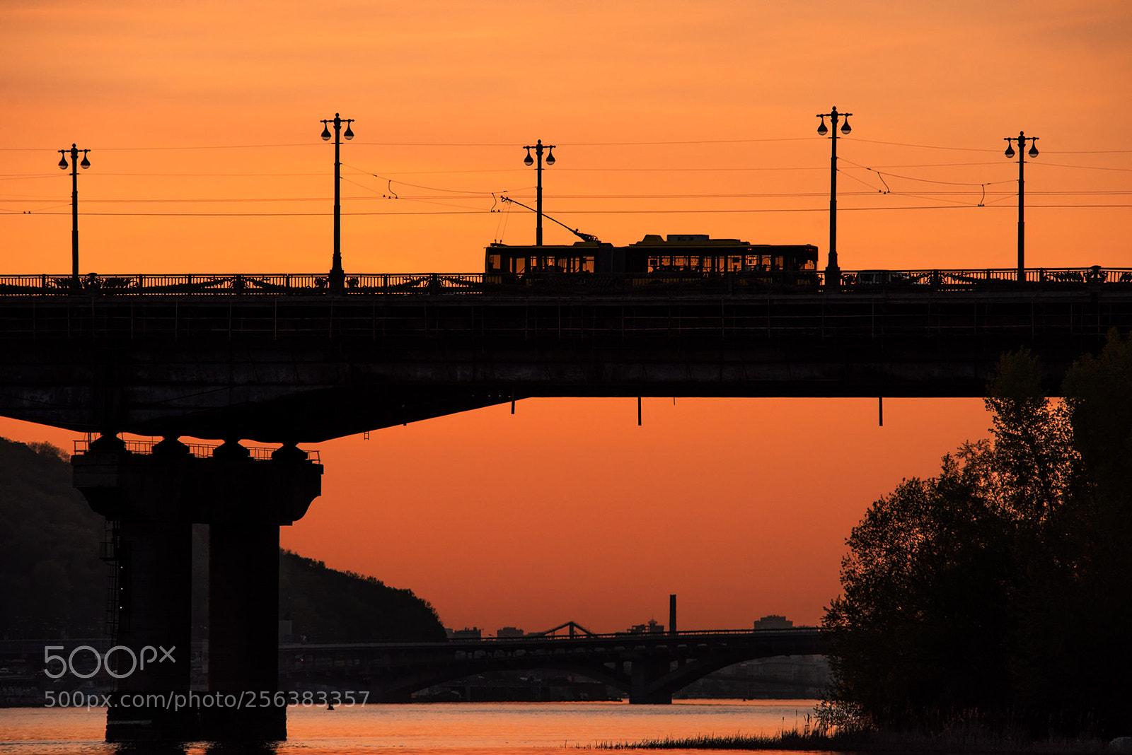 Nikon D810 sample photo. Y photography