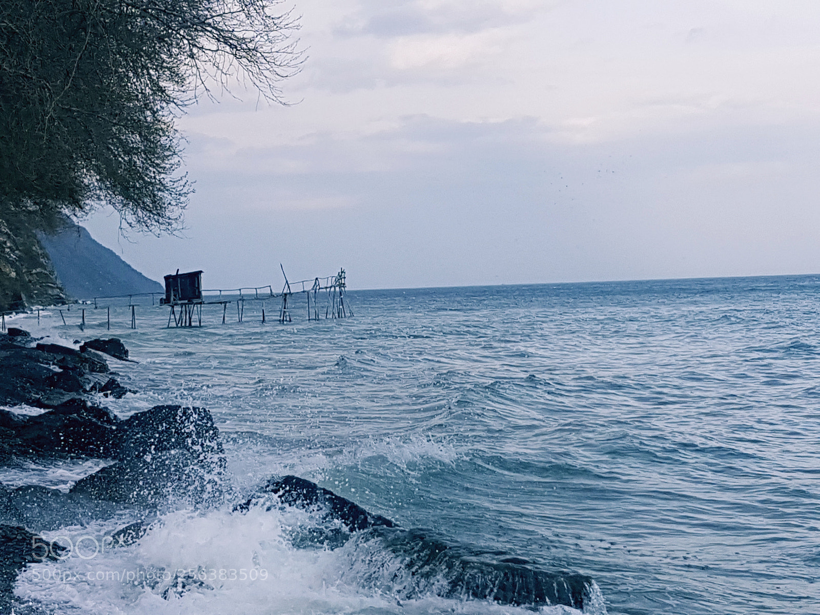 Samsung Galaxy S7 sample photo. Untitled photography